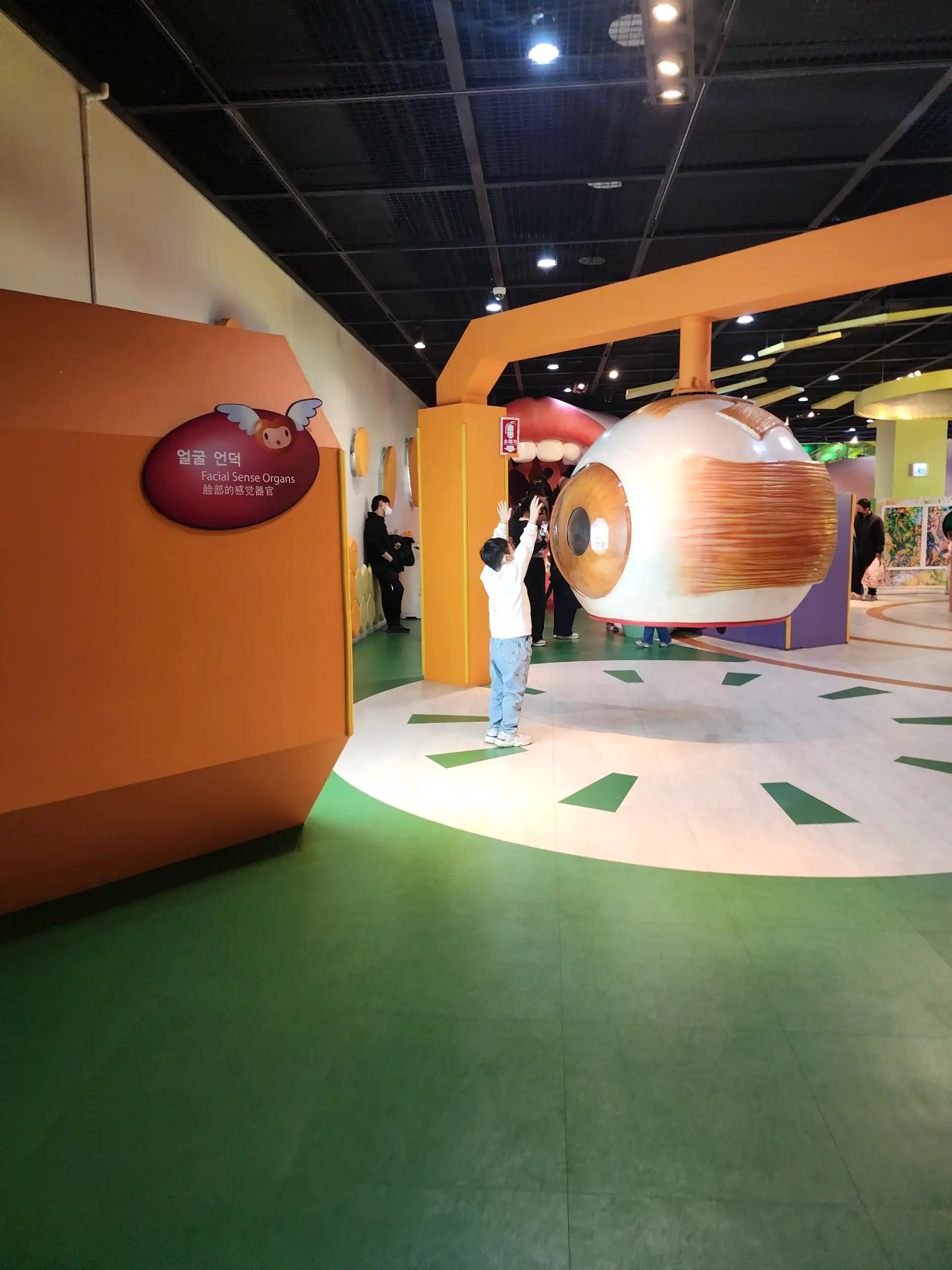 크루톡 이미지 5