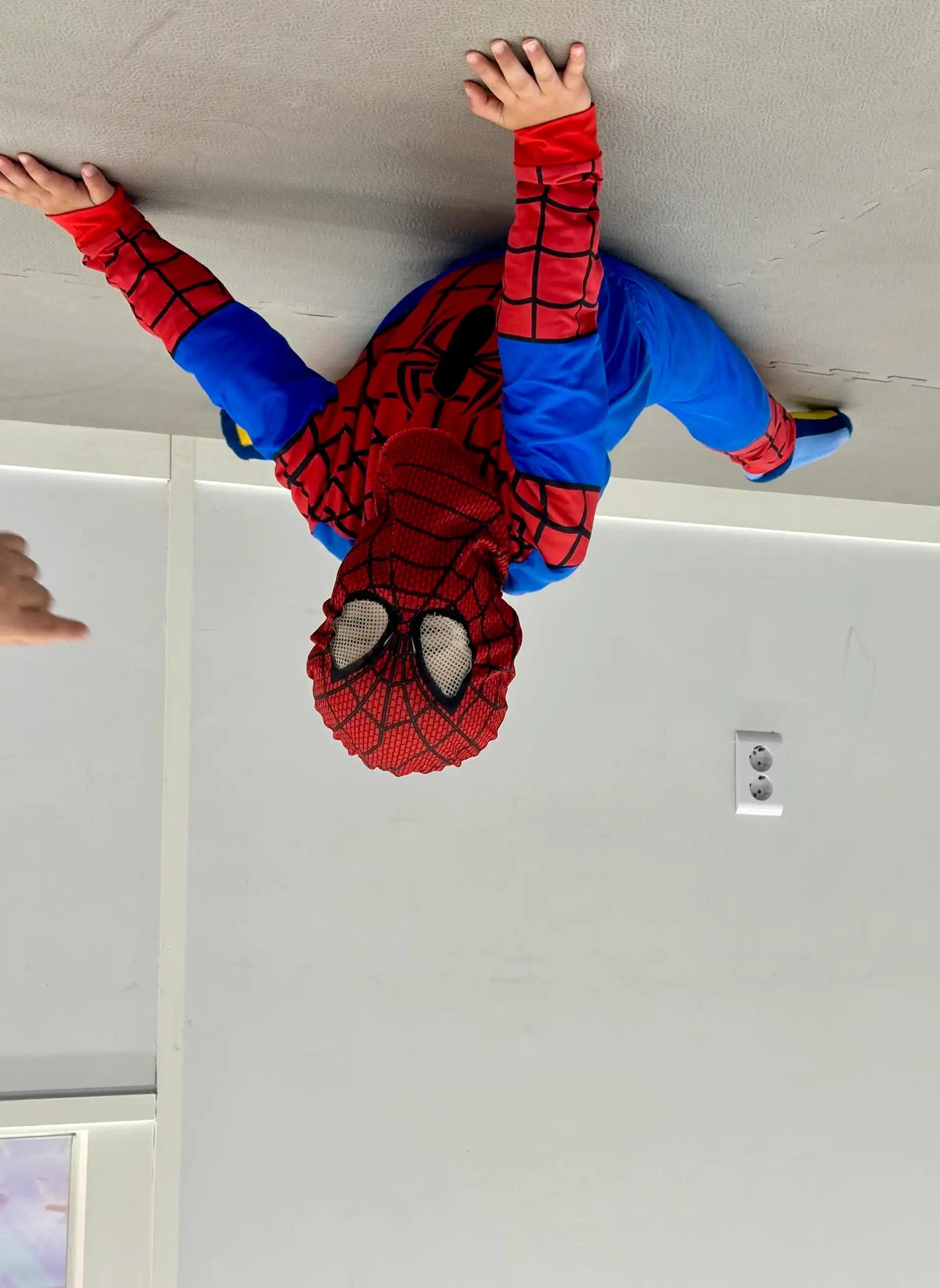 크루톡 이미지 2