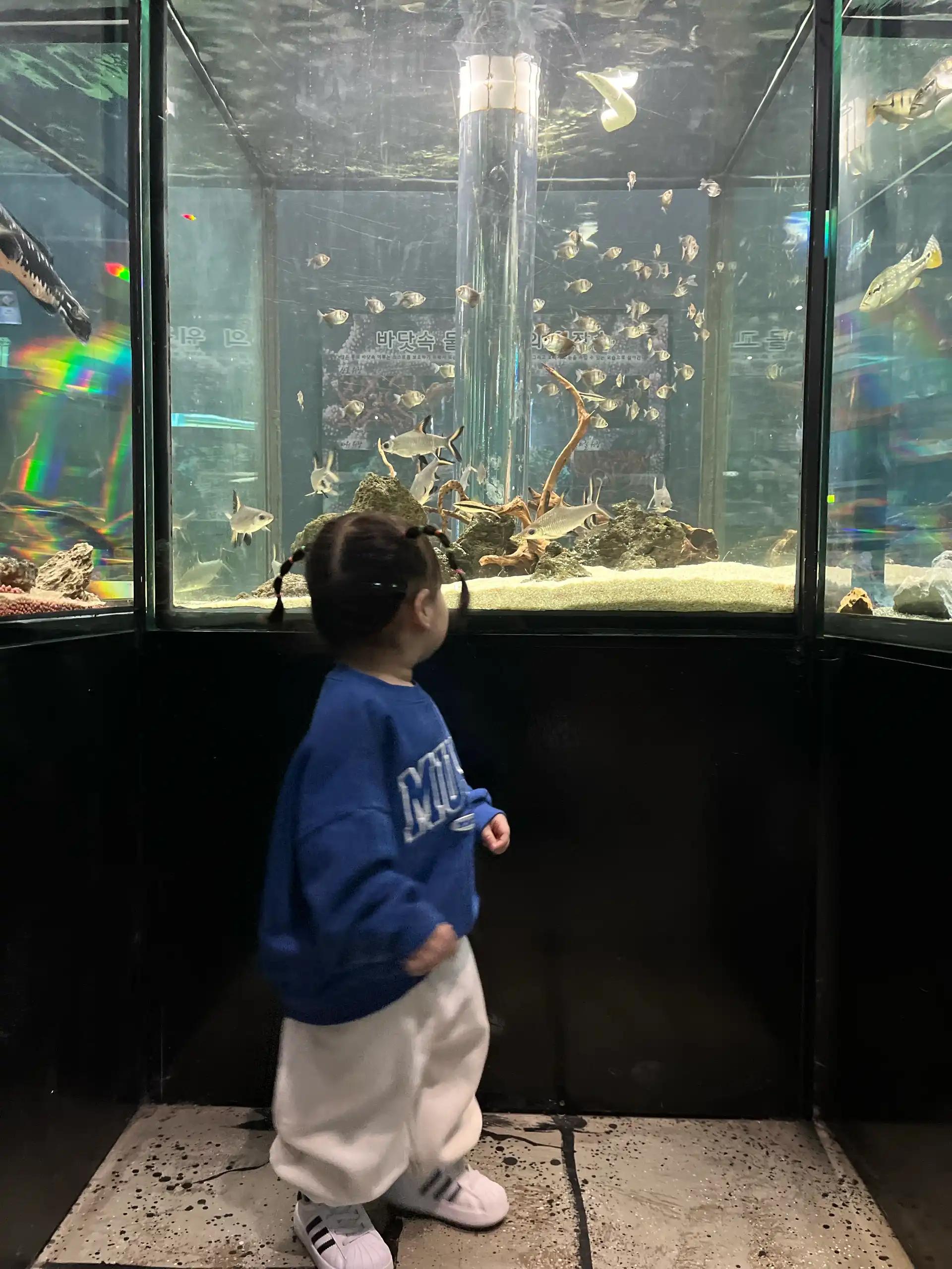 크루톡 이미지 2