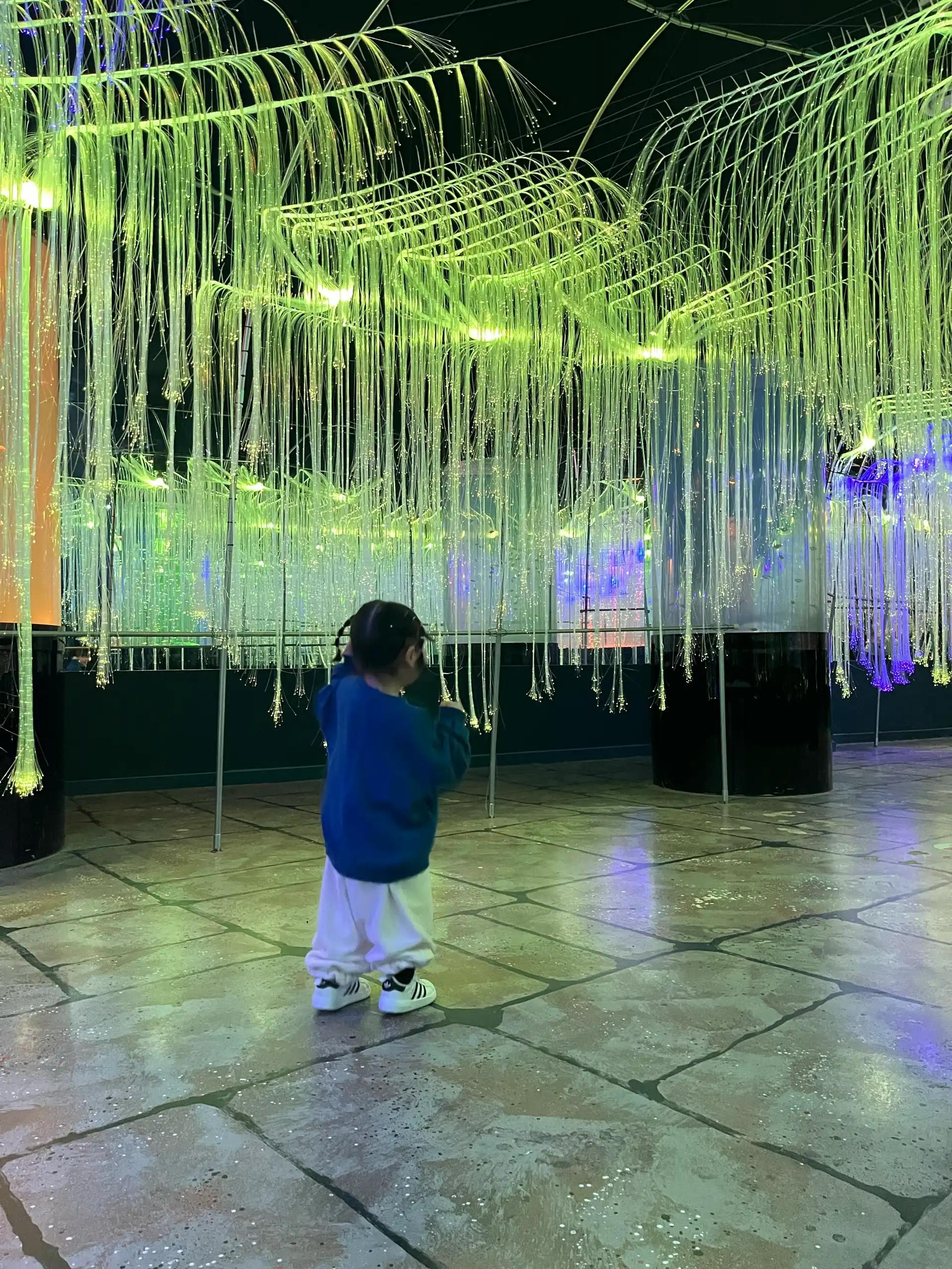 크루톡 이미지 3