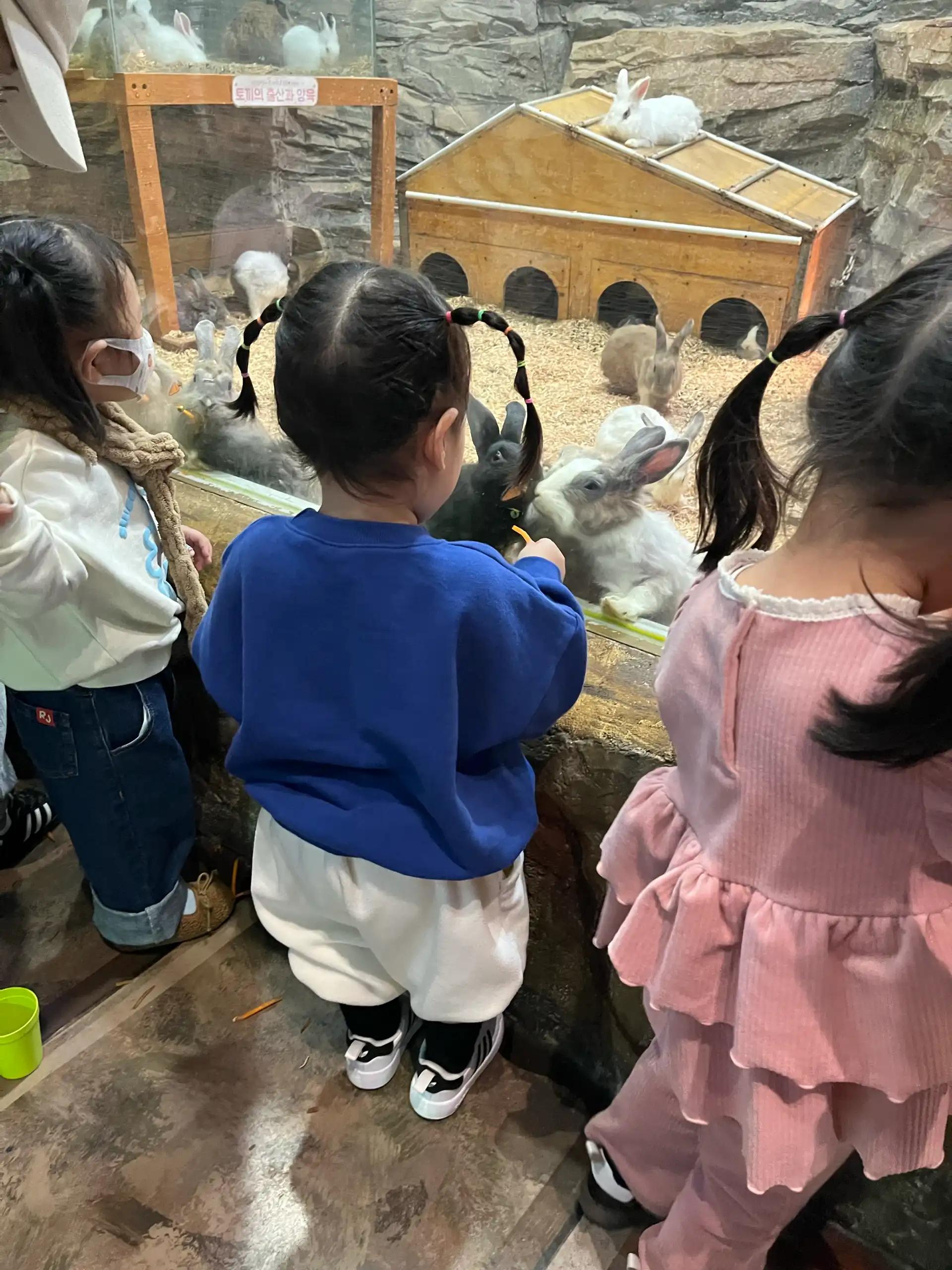 크루톡 이미지 5