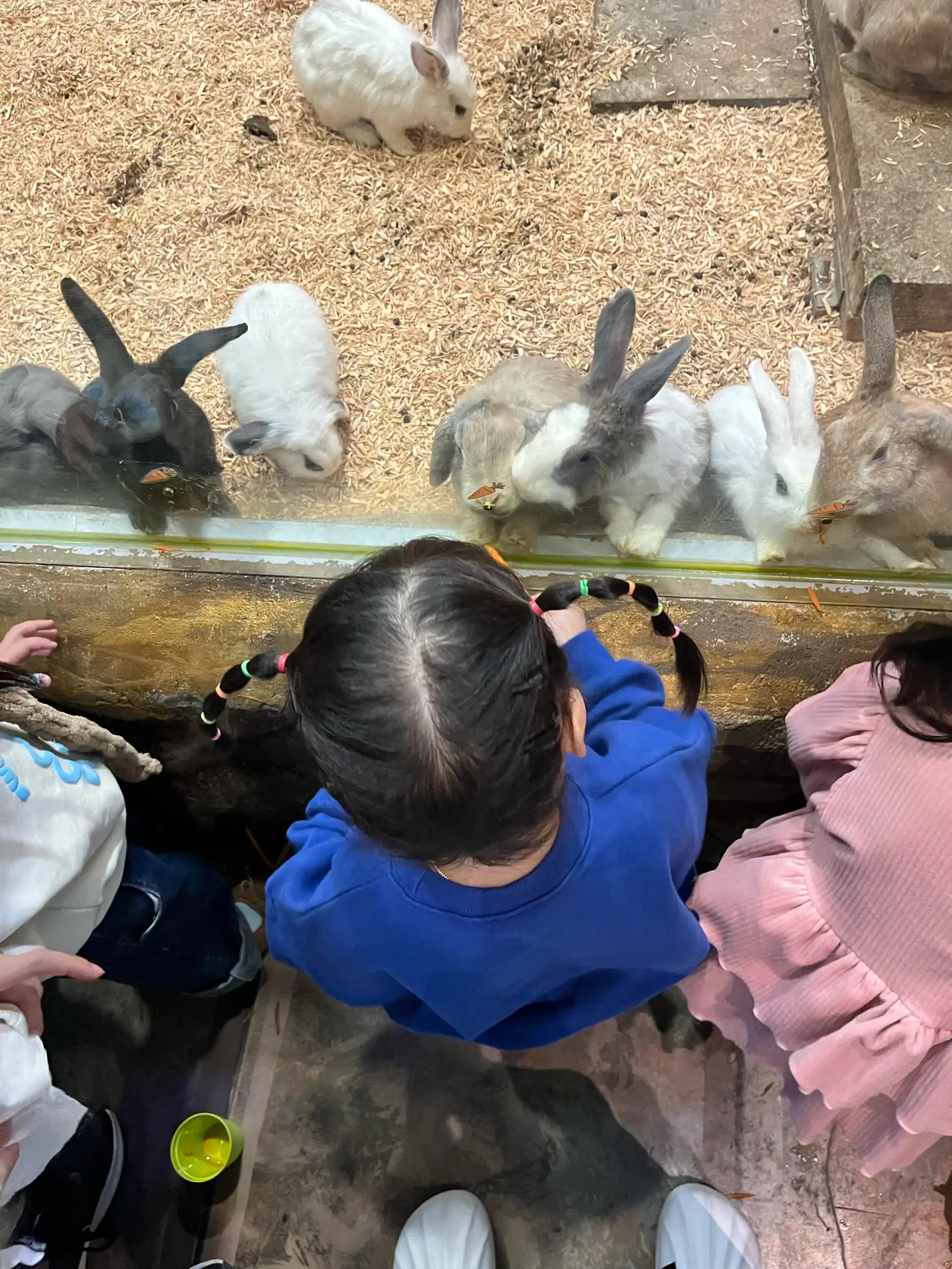 크루톡 이미지 6