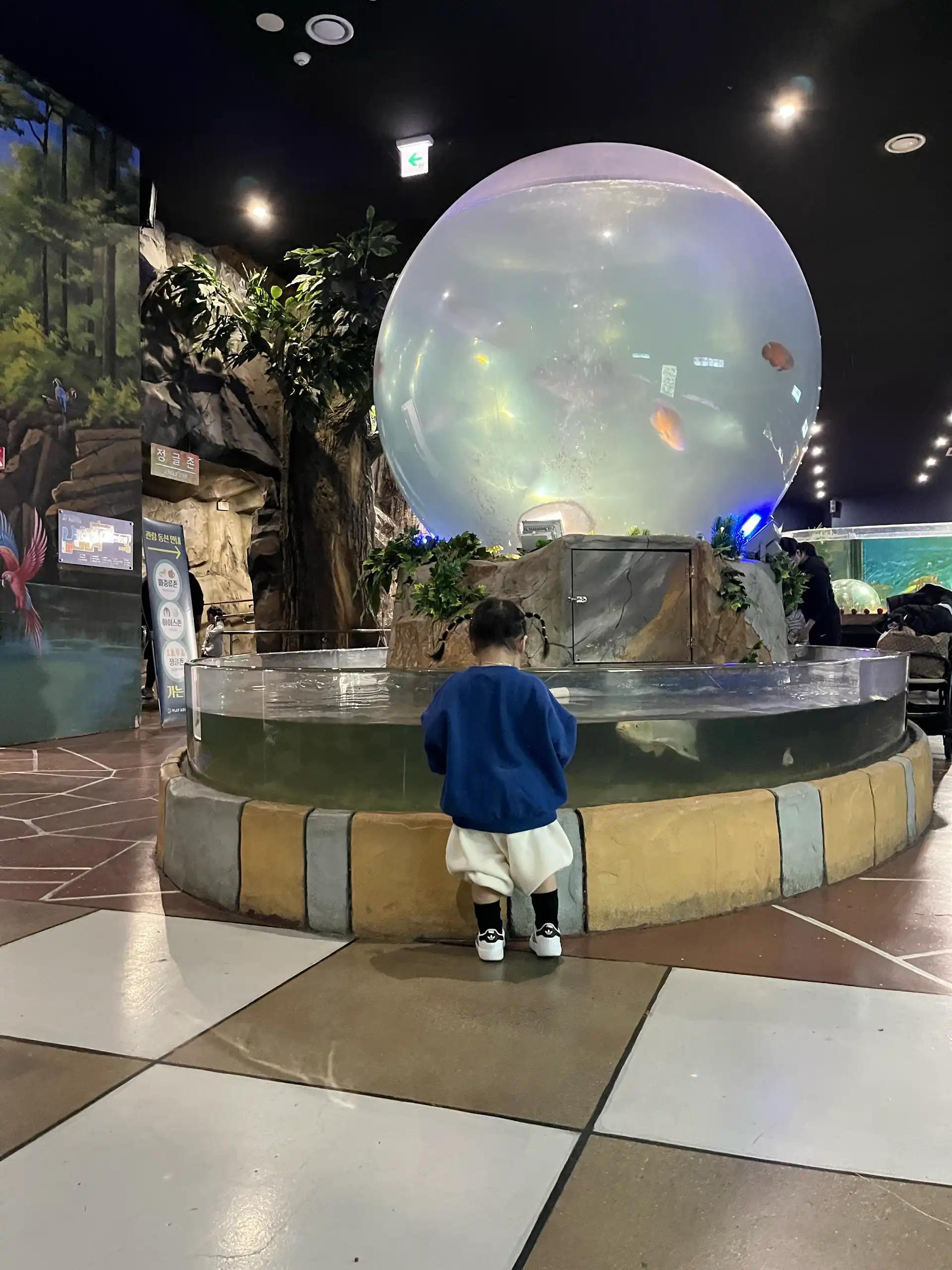 크루톡 이미지 7