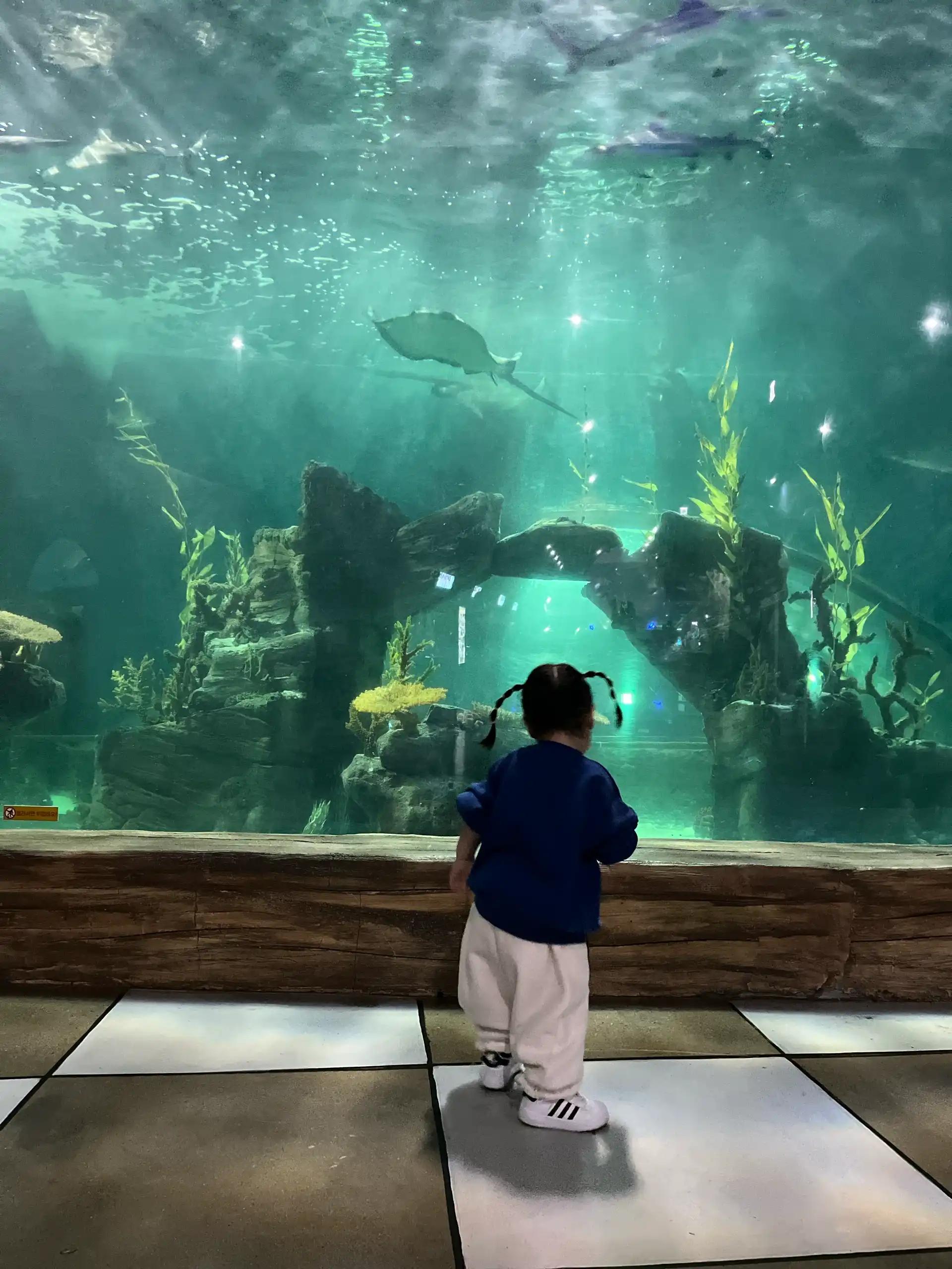 크루톡 이미지 8