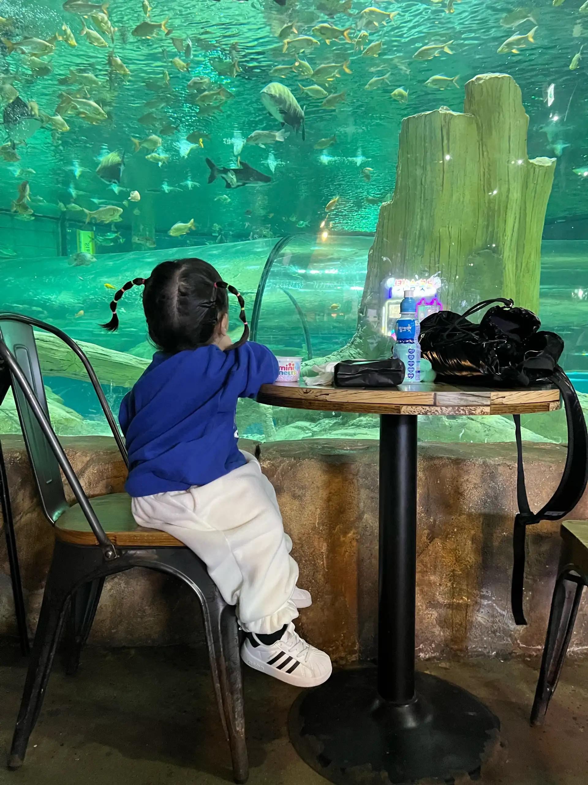 크루톡 이미지 9