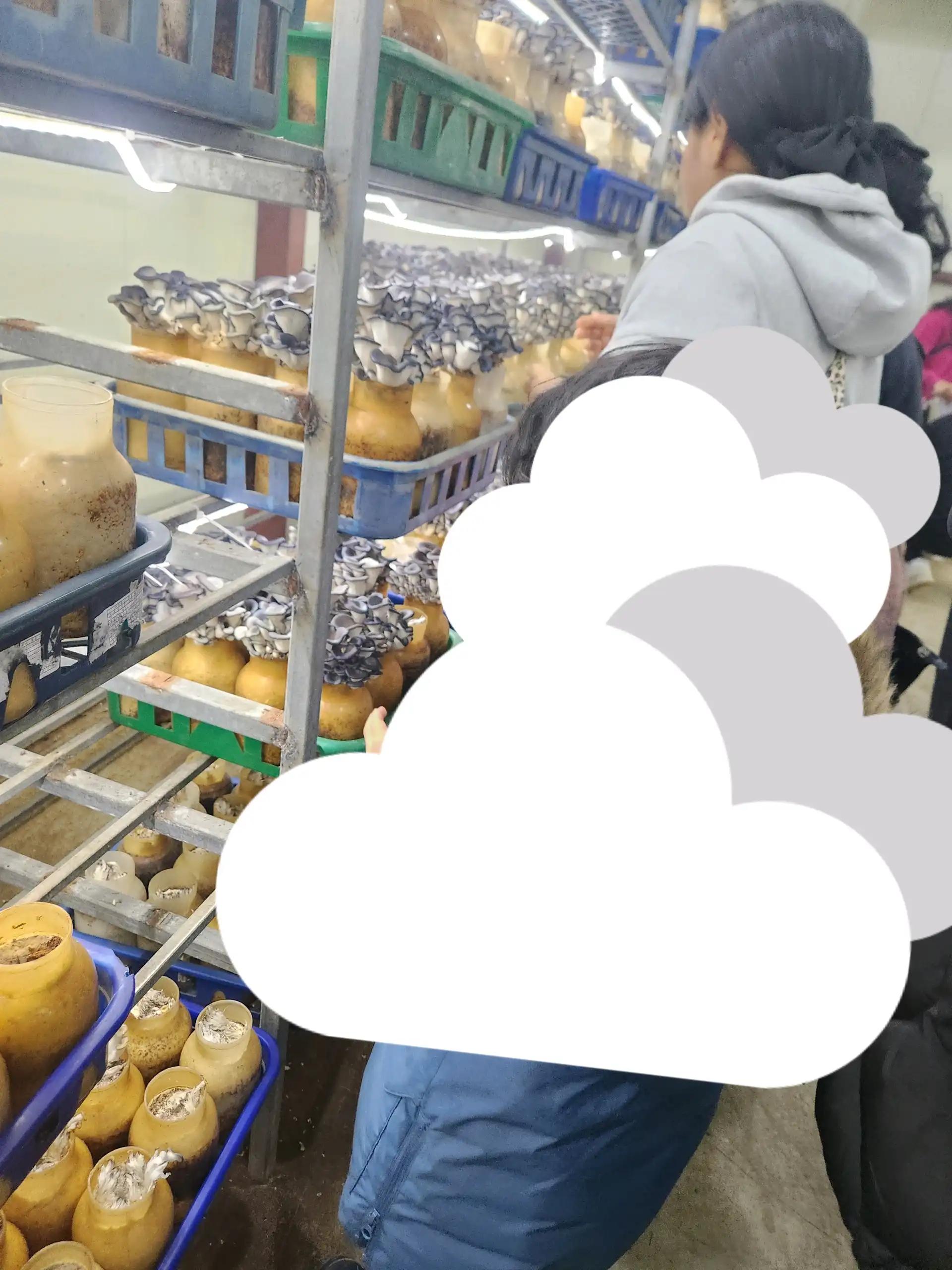 크루톡 이미지 2