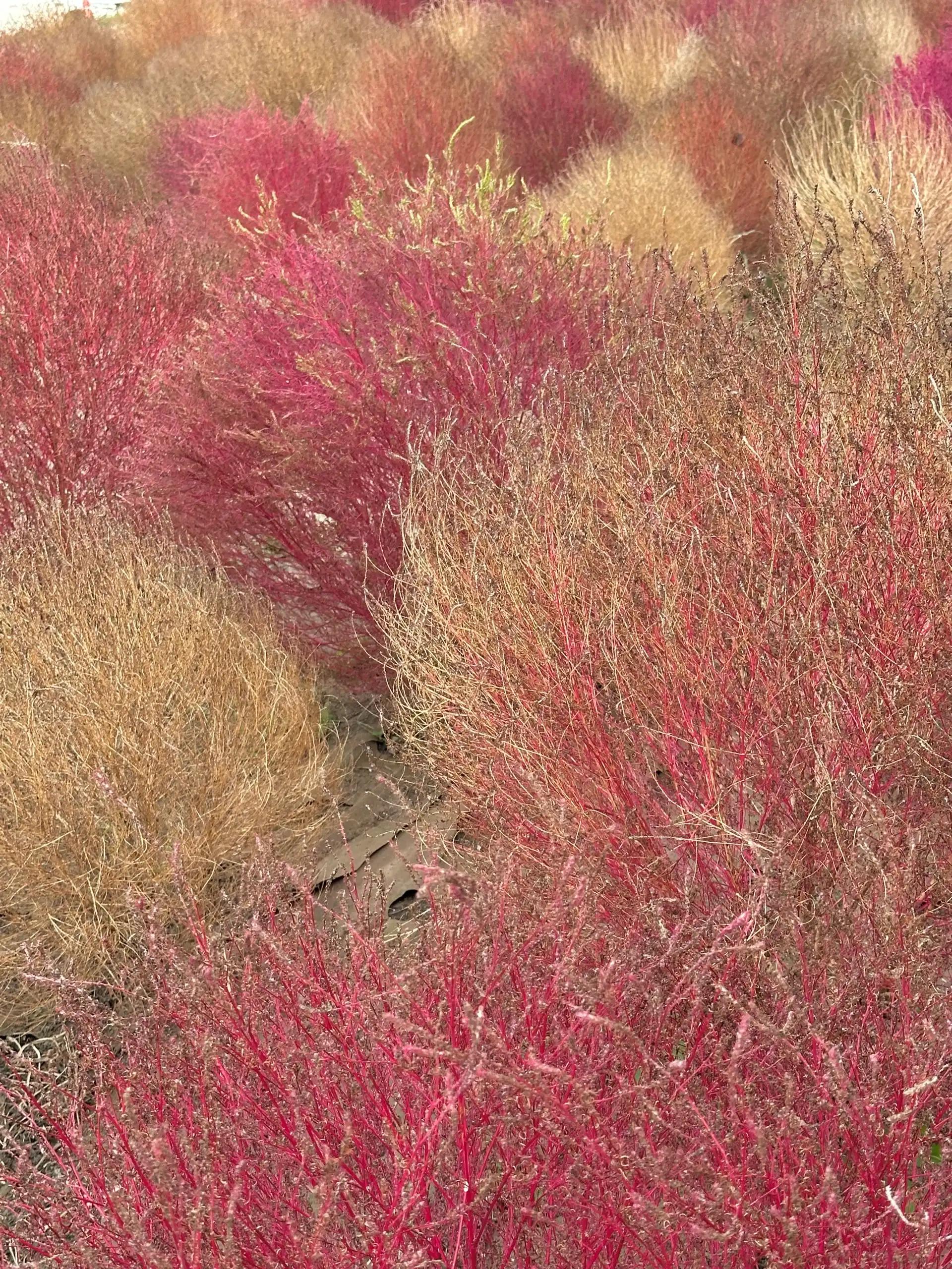 크루톡 이미지 2