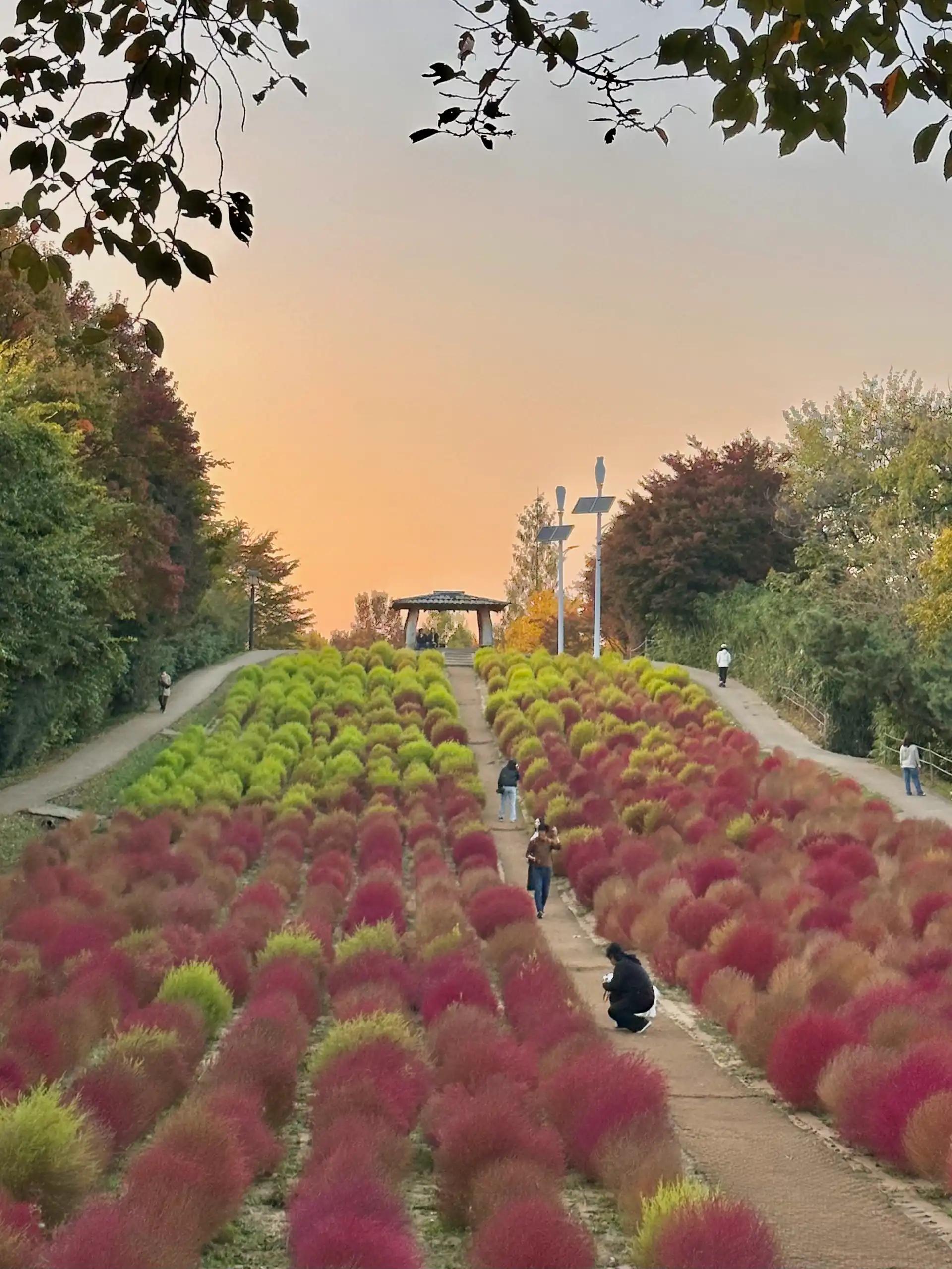 크루톡 이미지 3