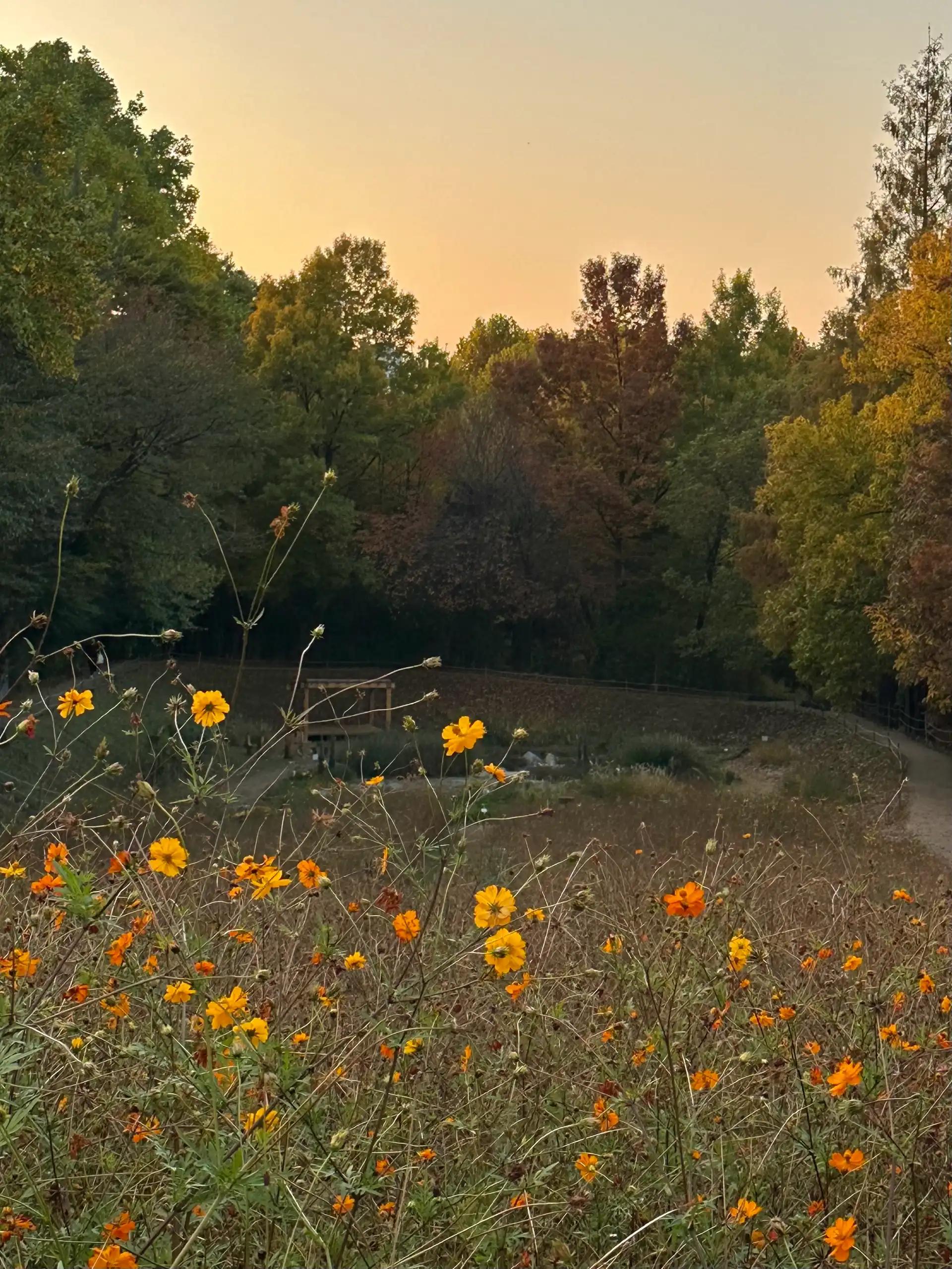 크루톡 이미지 4