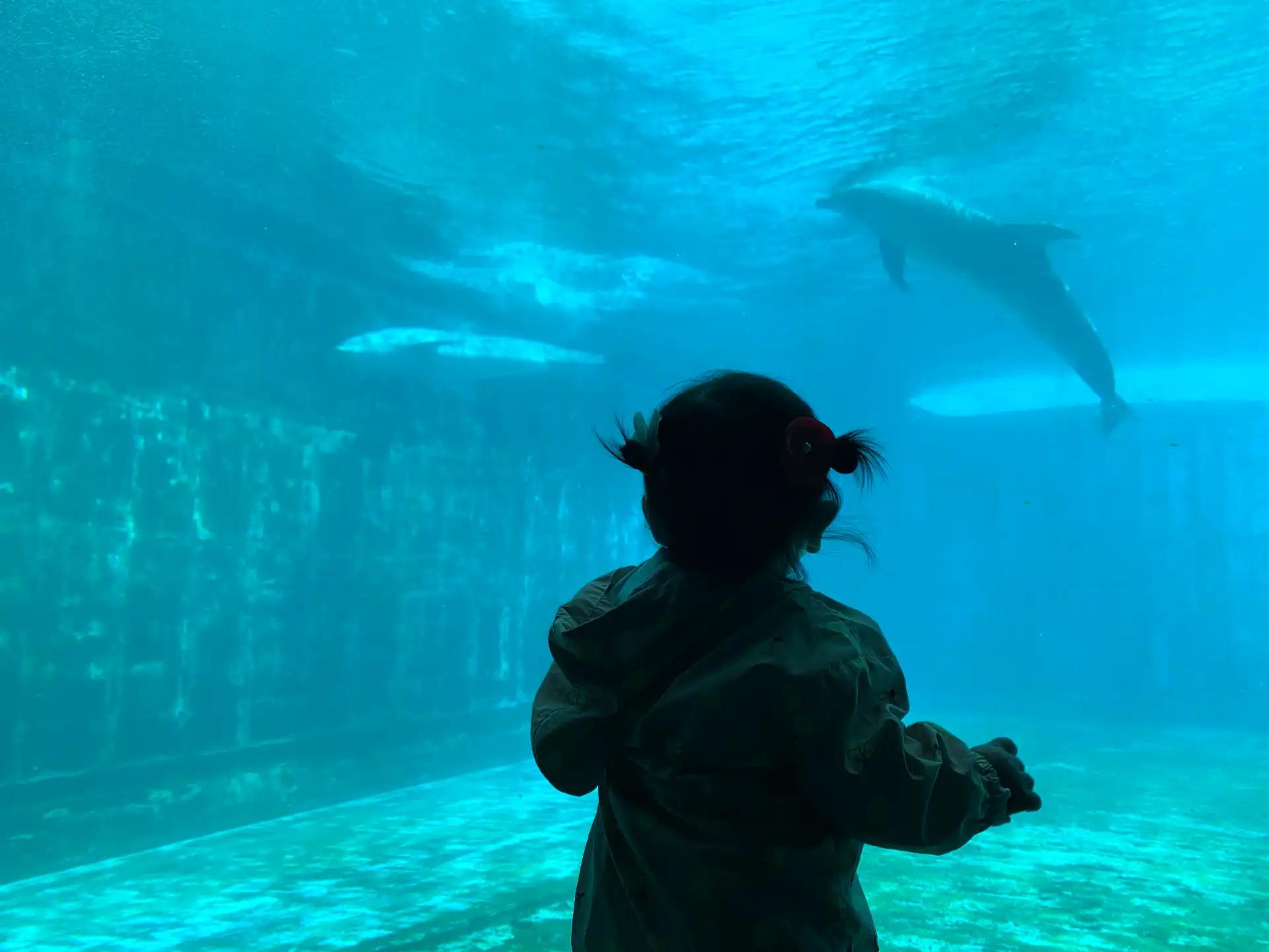 크루톡 이미지 2