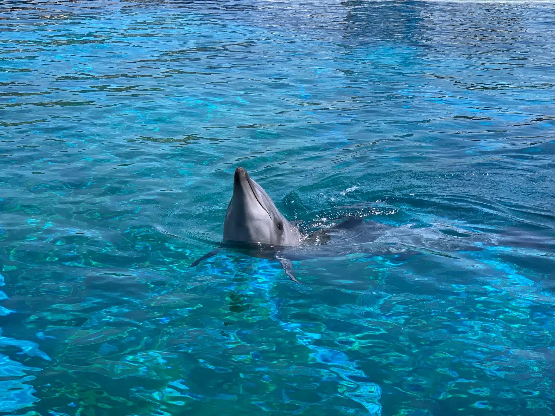 크루톡 이미지 3