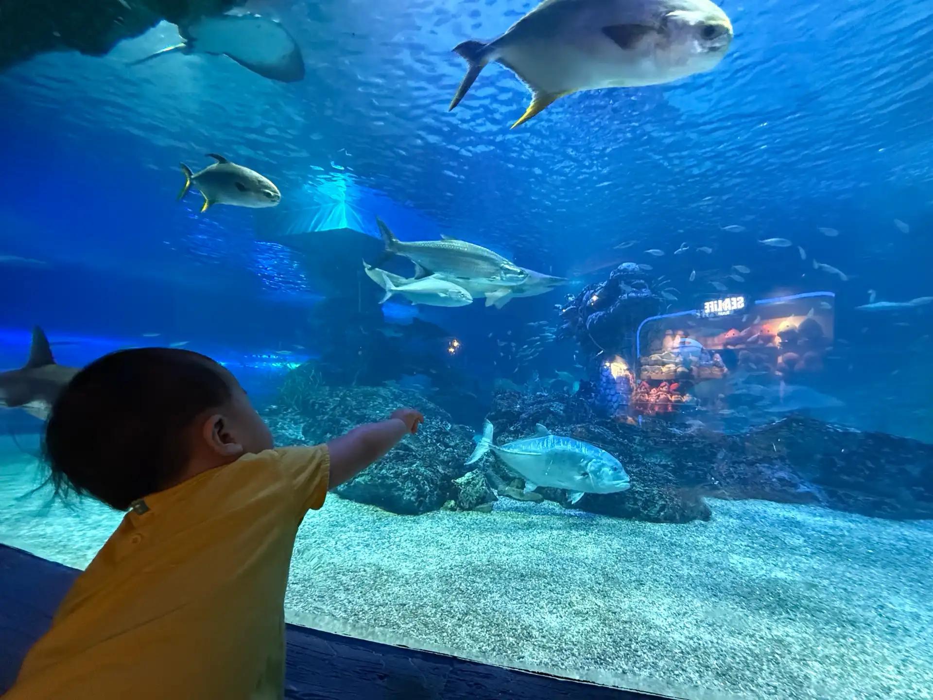 크루톡 이미지 2