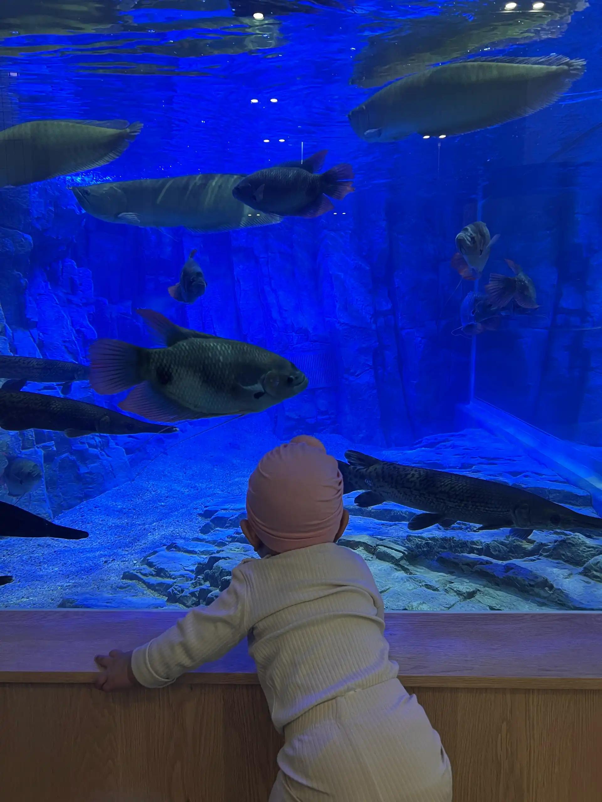 크루톡 이미지 2