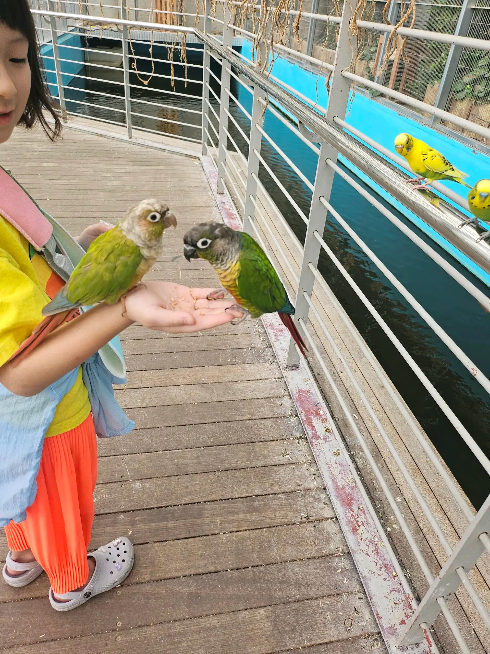 크루톡 이미지 2