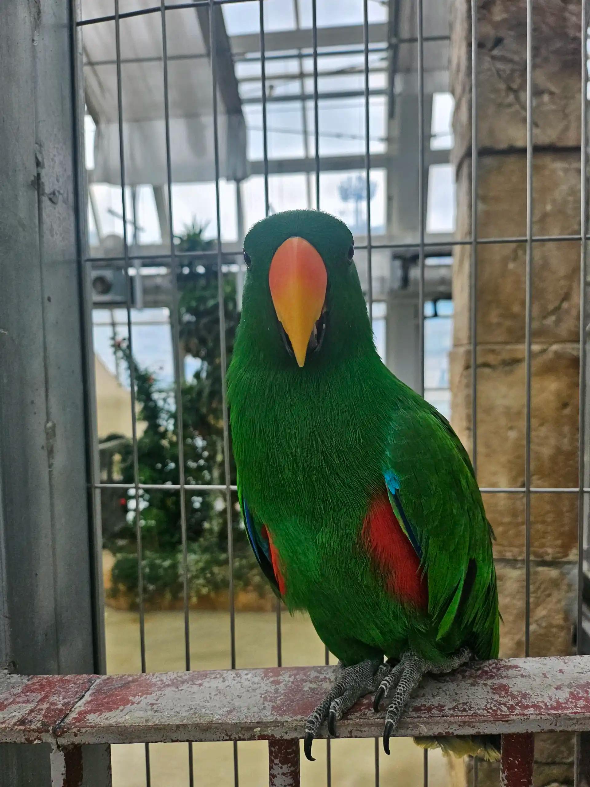 크루톡 이미지 3