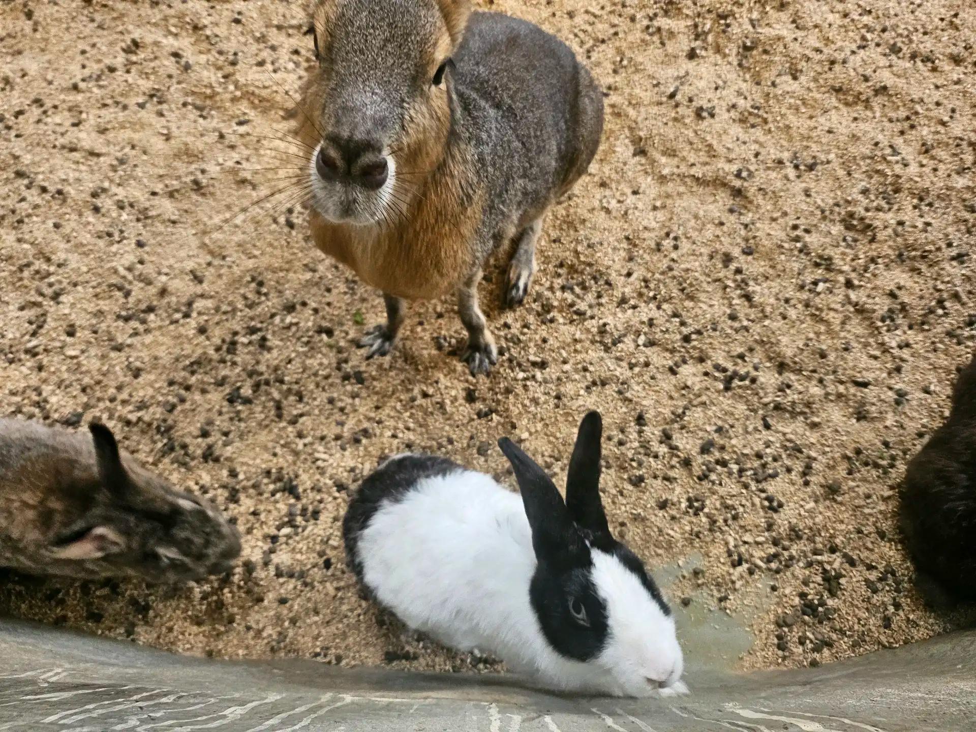 크루톡 이미지 4