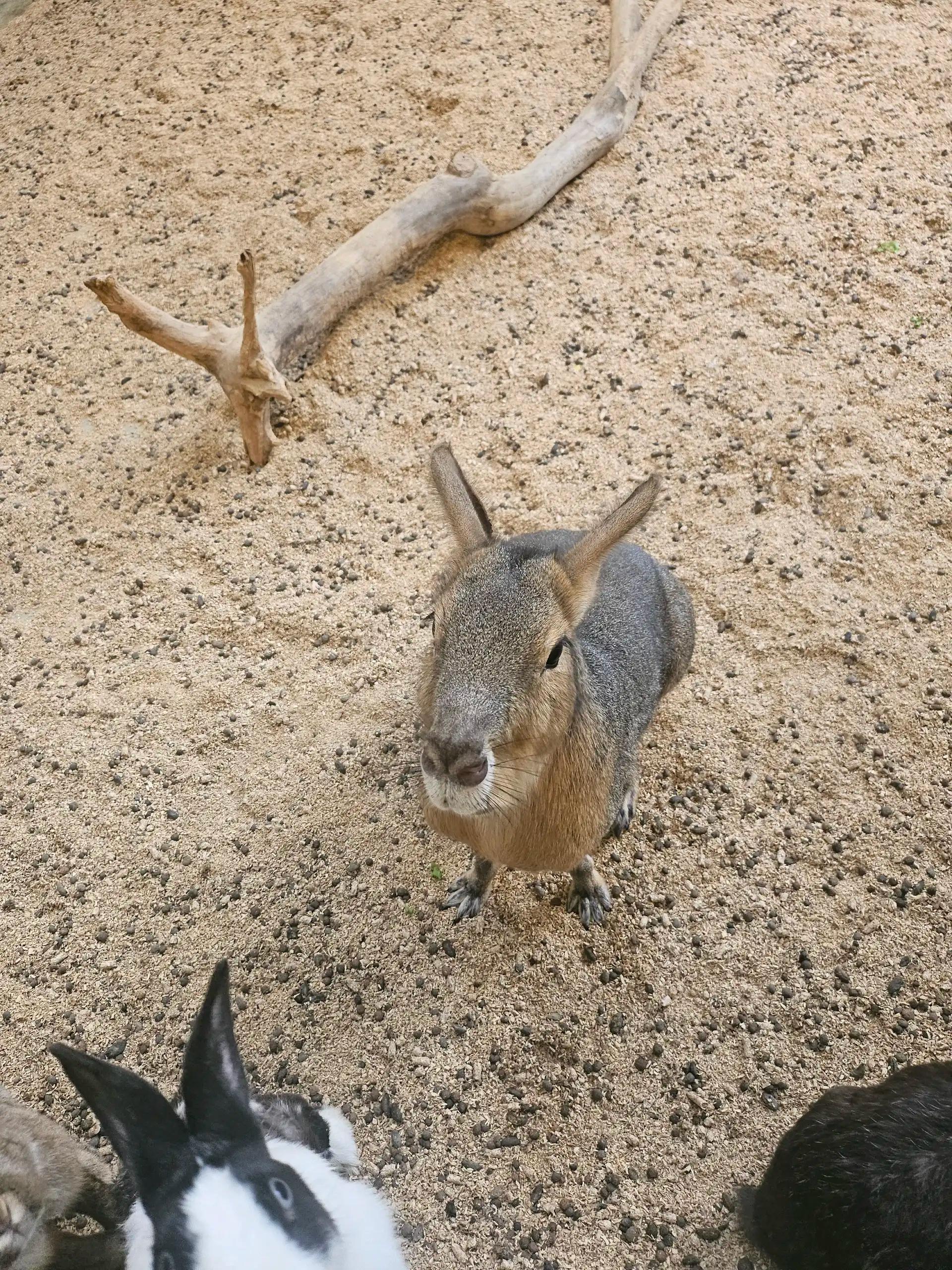 크루톡 이미지 5