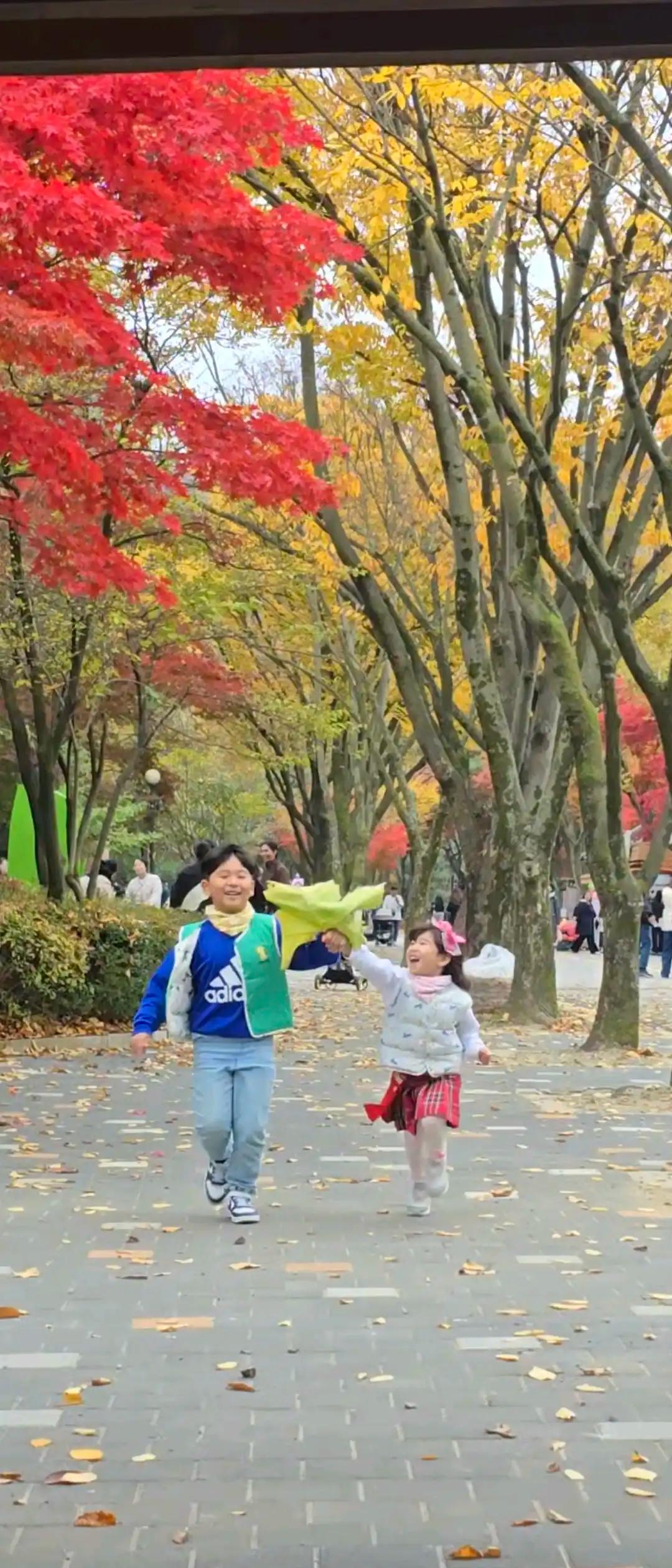 크루톡 이미지 1