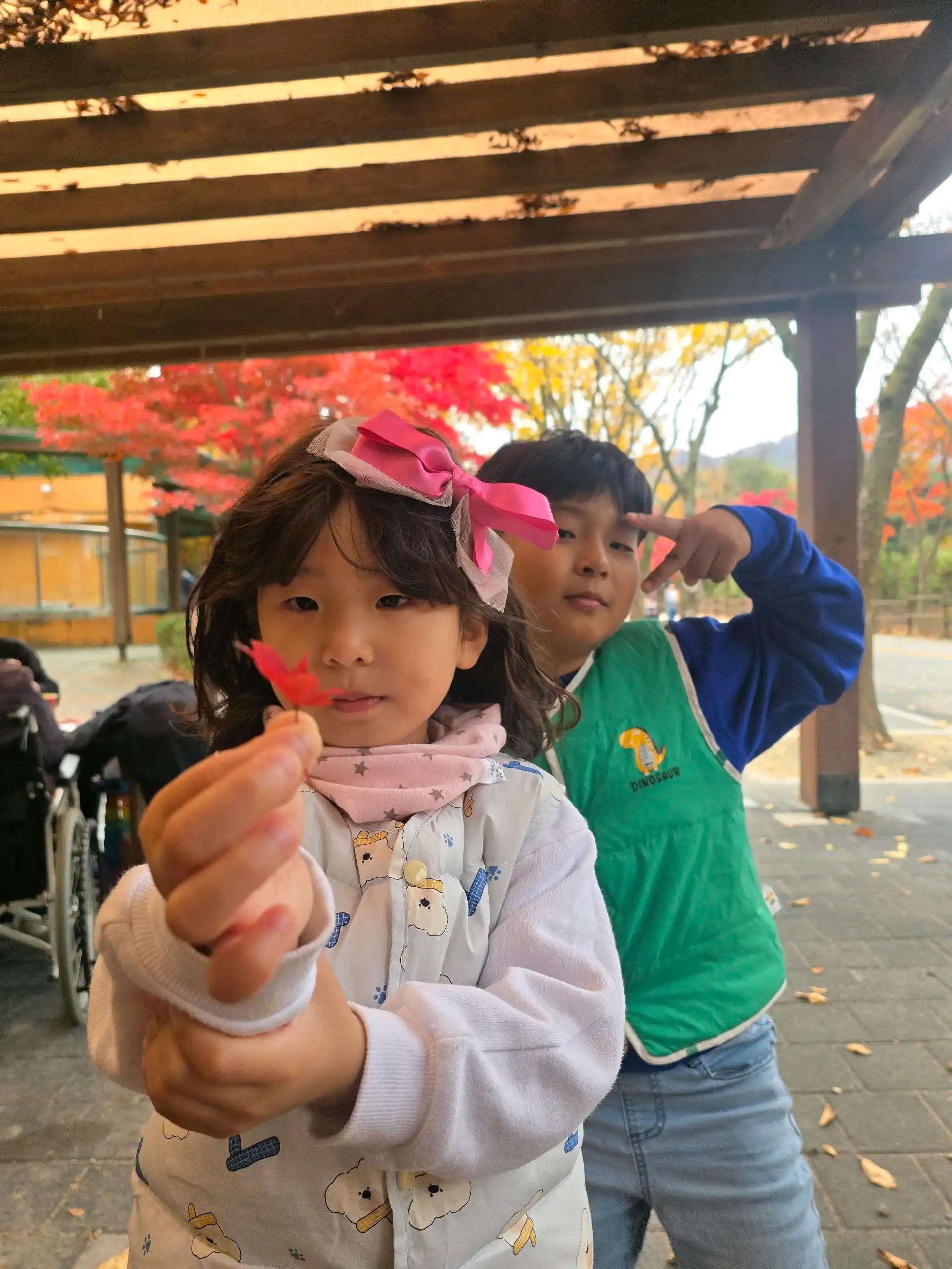 크루톡 이미지 2