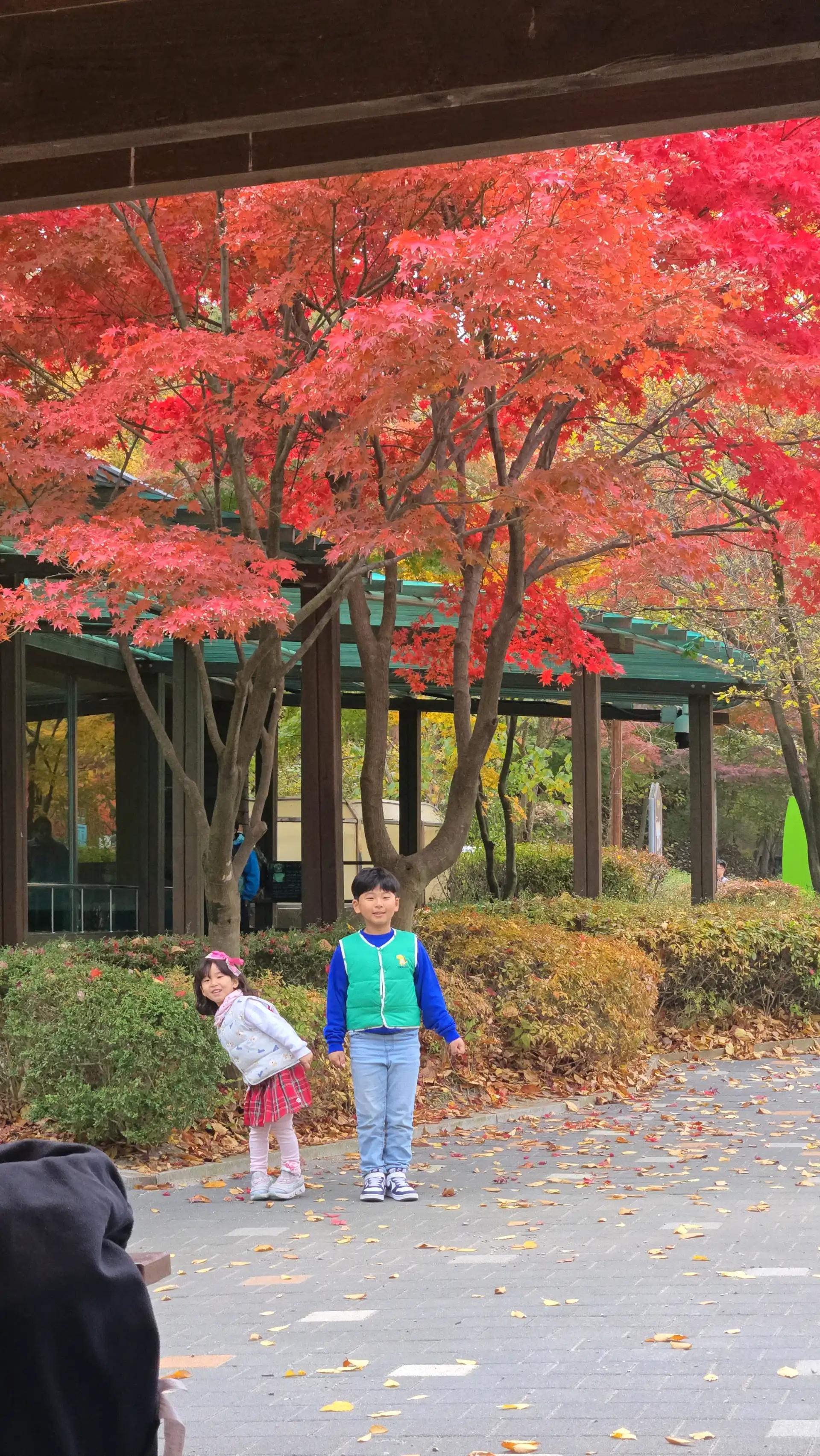 크루톡 이미지 3