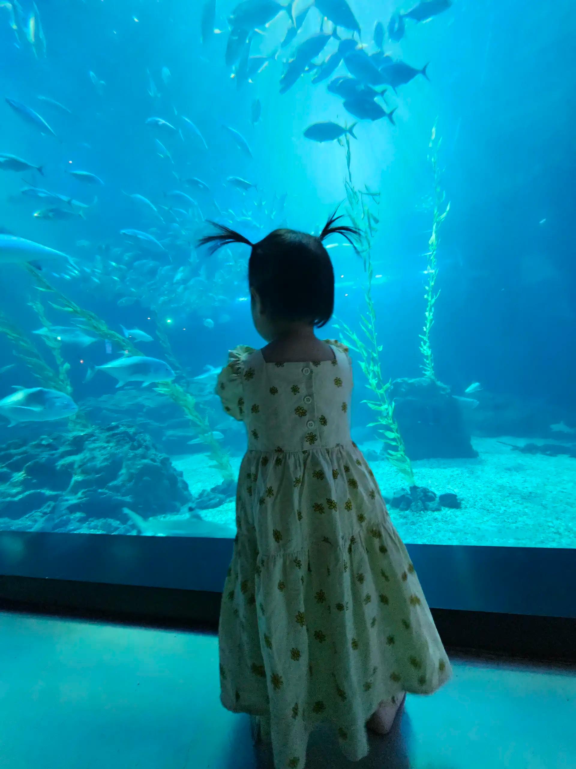 크루톡 이미지 2