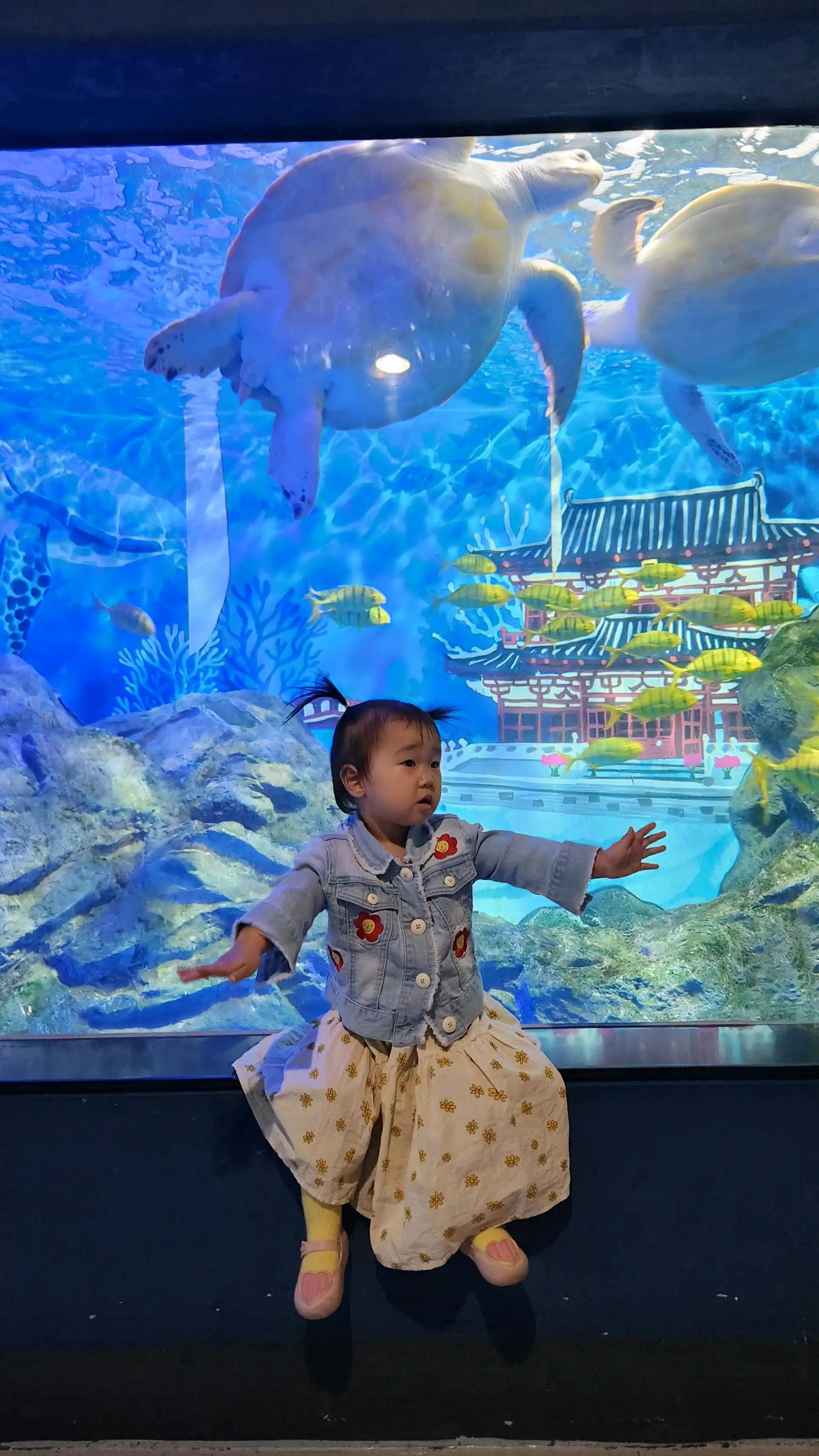 크루톡 이미지 11