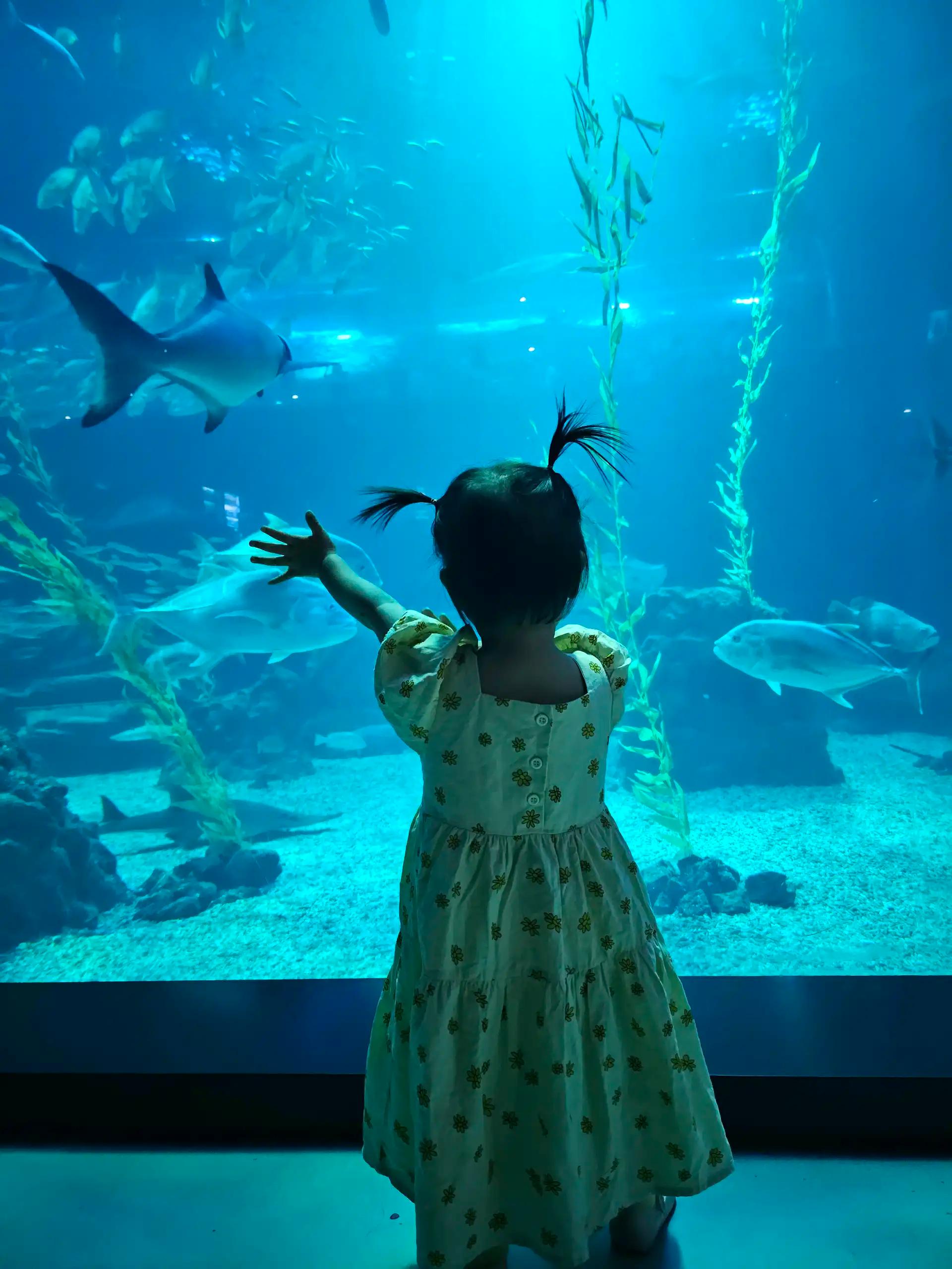 크루톡 이미지 3