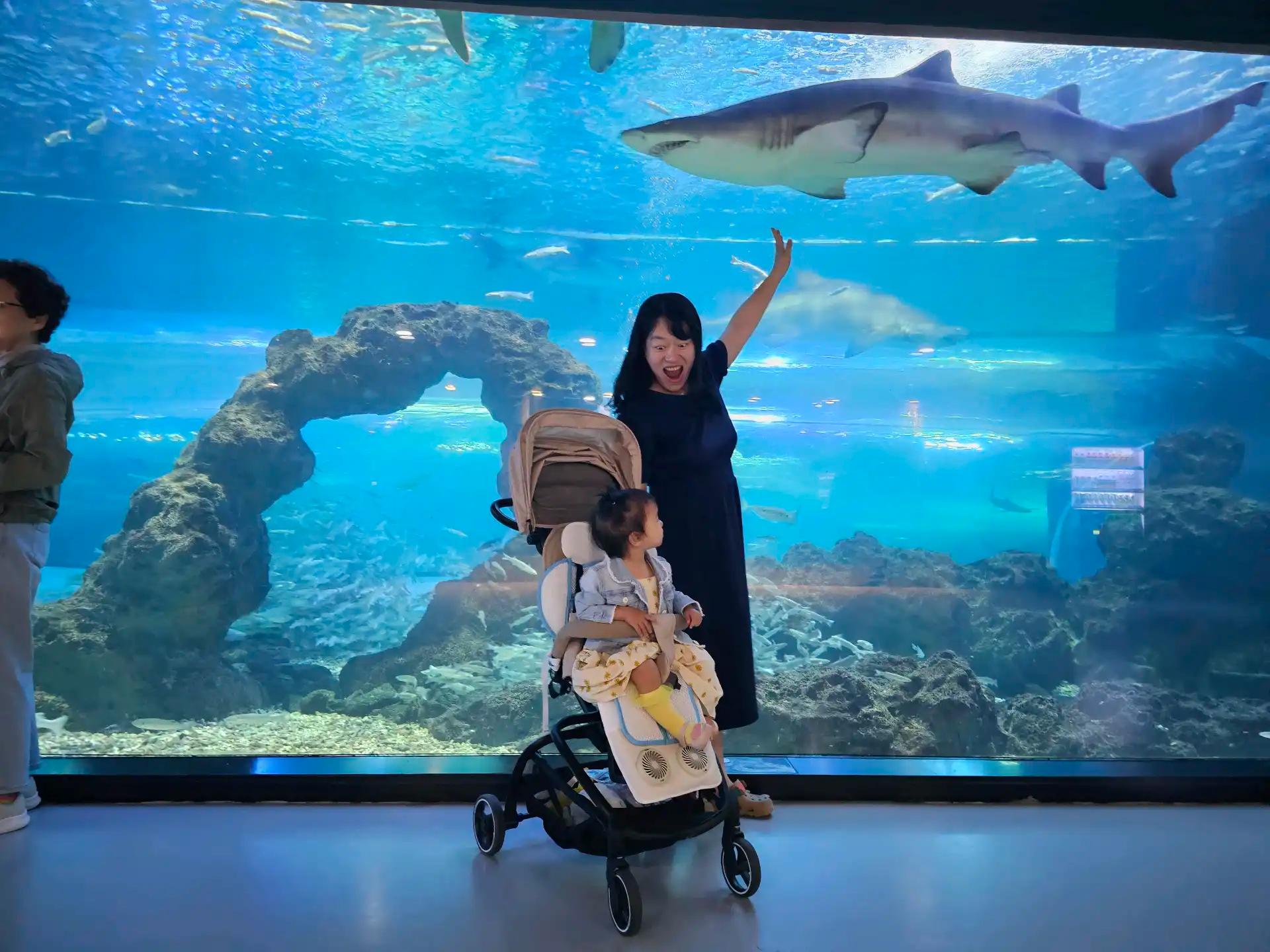 크루톡 이미지 4