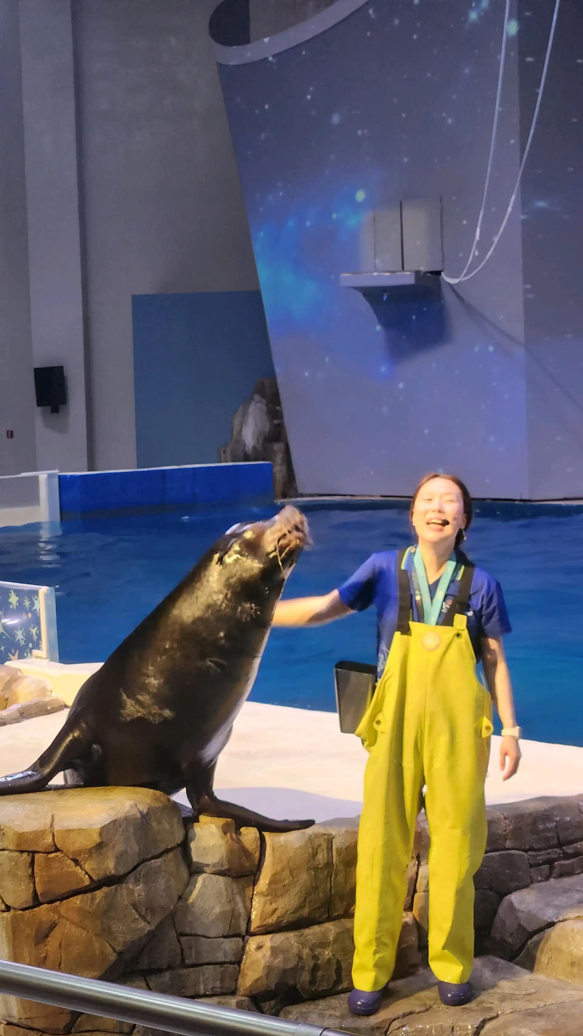 크루톡 이미지 5