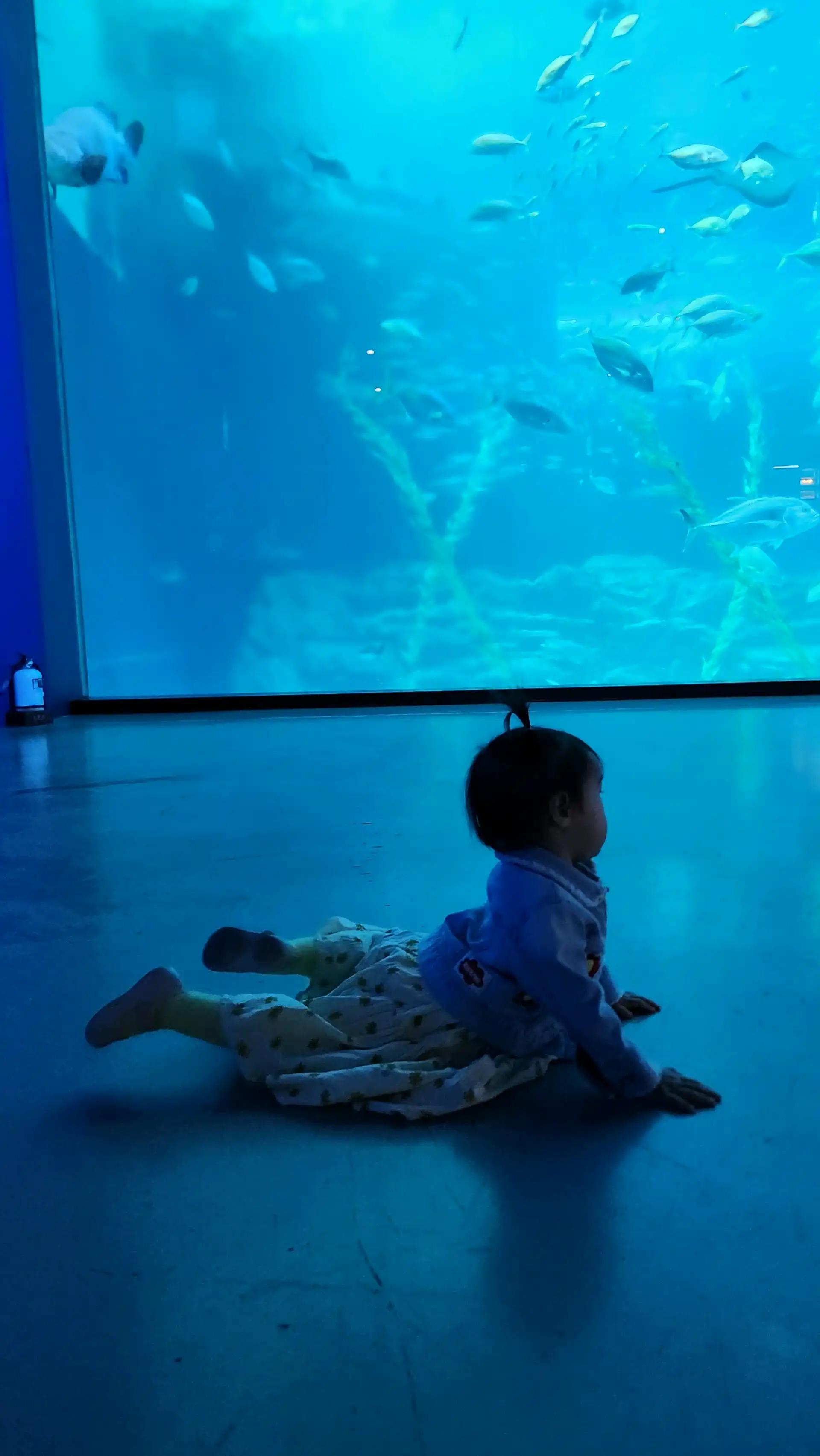 크루톡 이미지 6