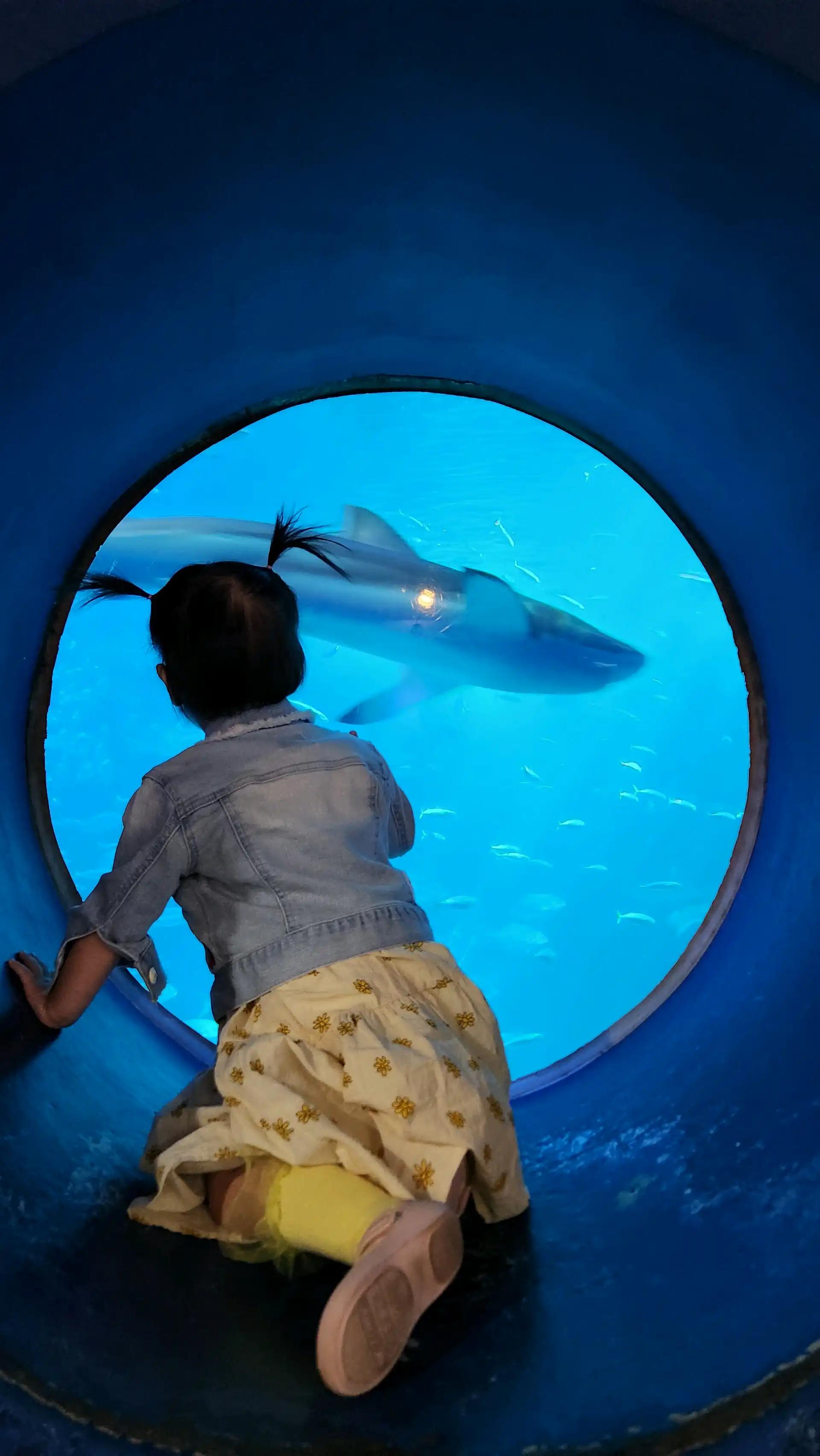 크루톡 이미지 7