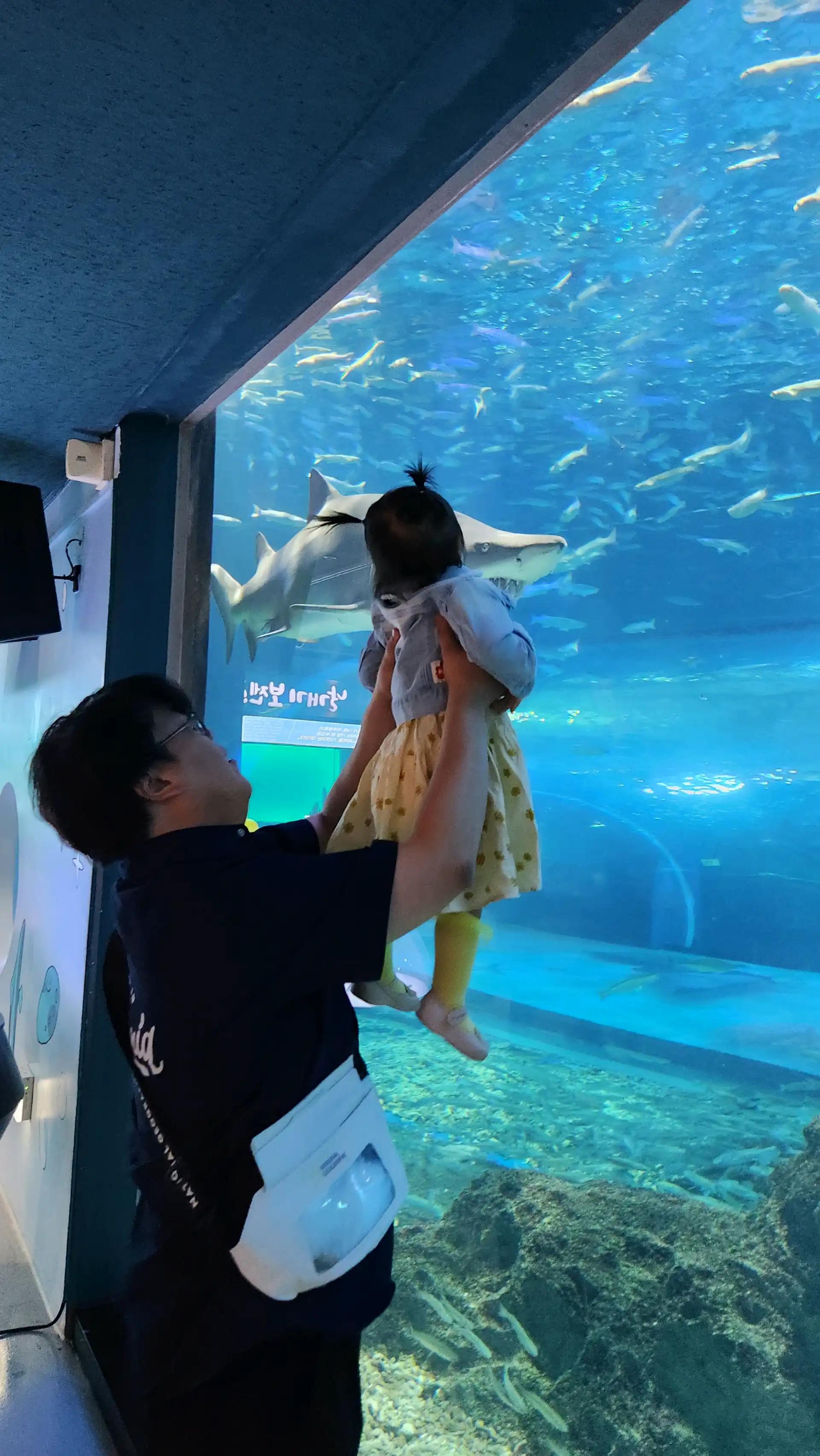 크루톡 이미지 9