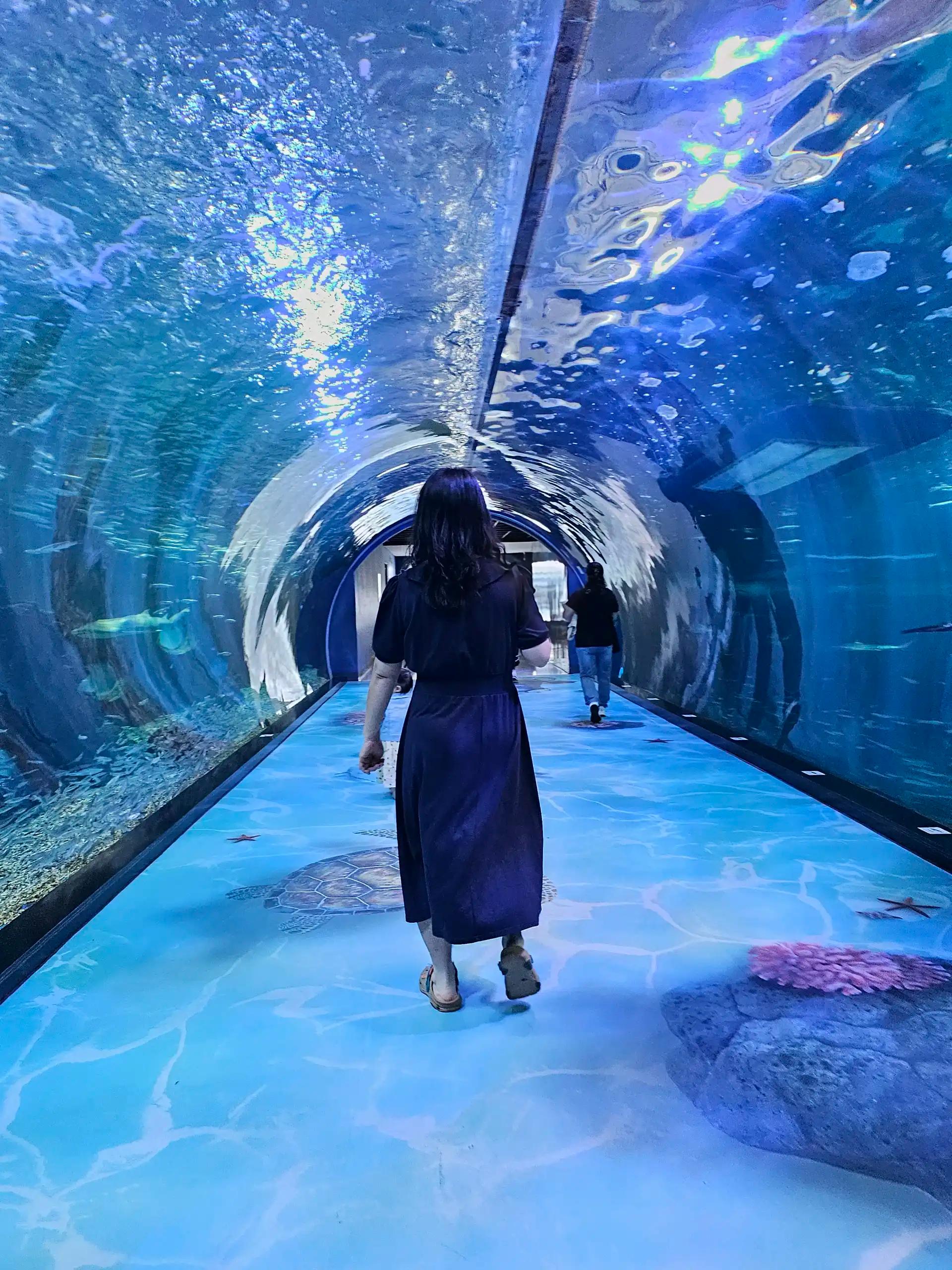 크루톡 이미지 10