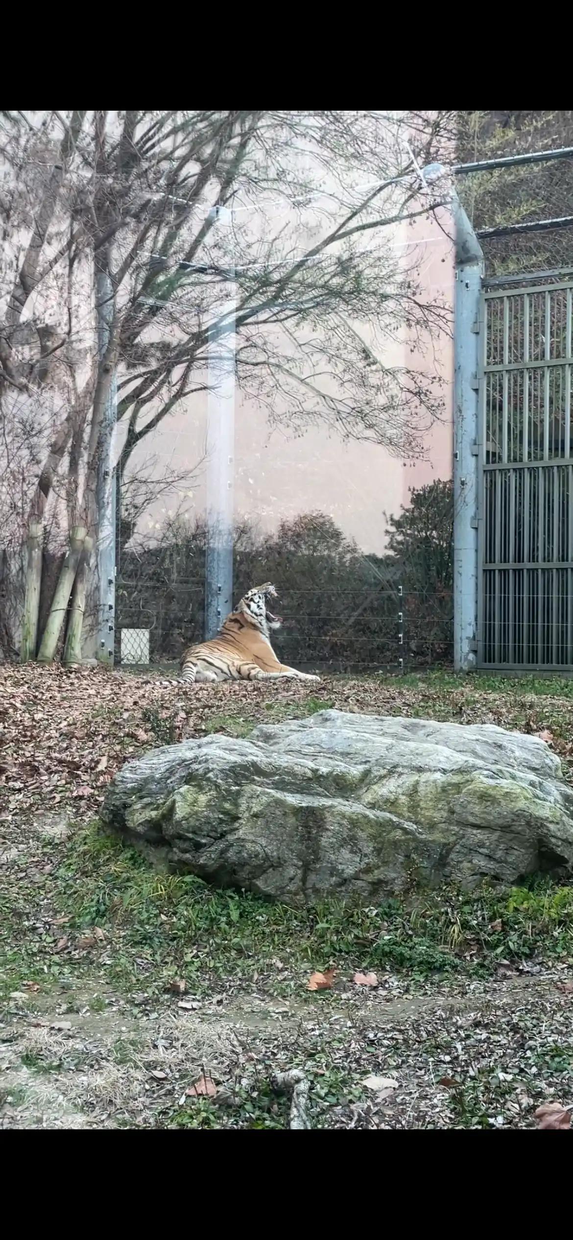 크루톡 이미지 3