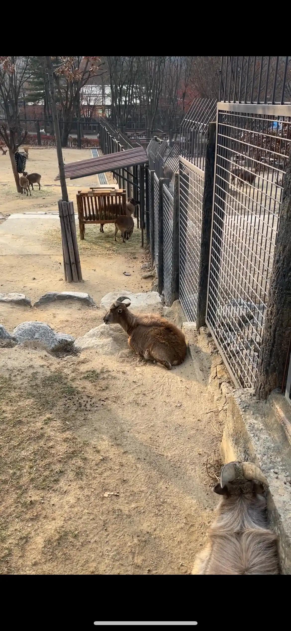 크루톡 이미지 4