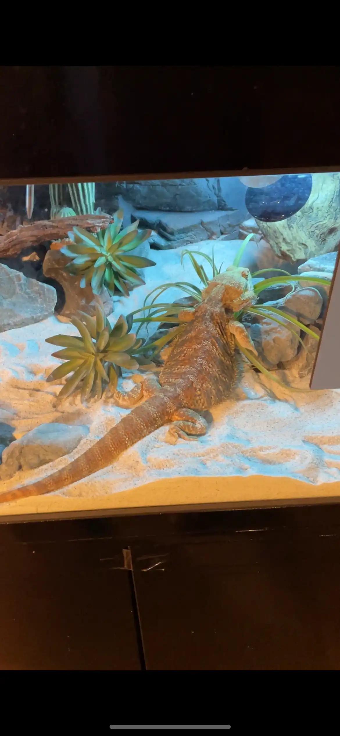 크루톡 이미지 5