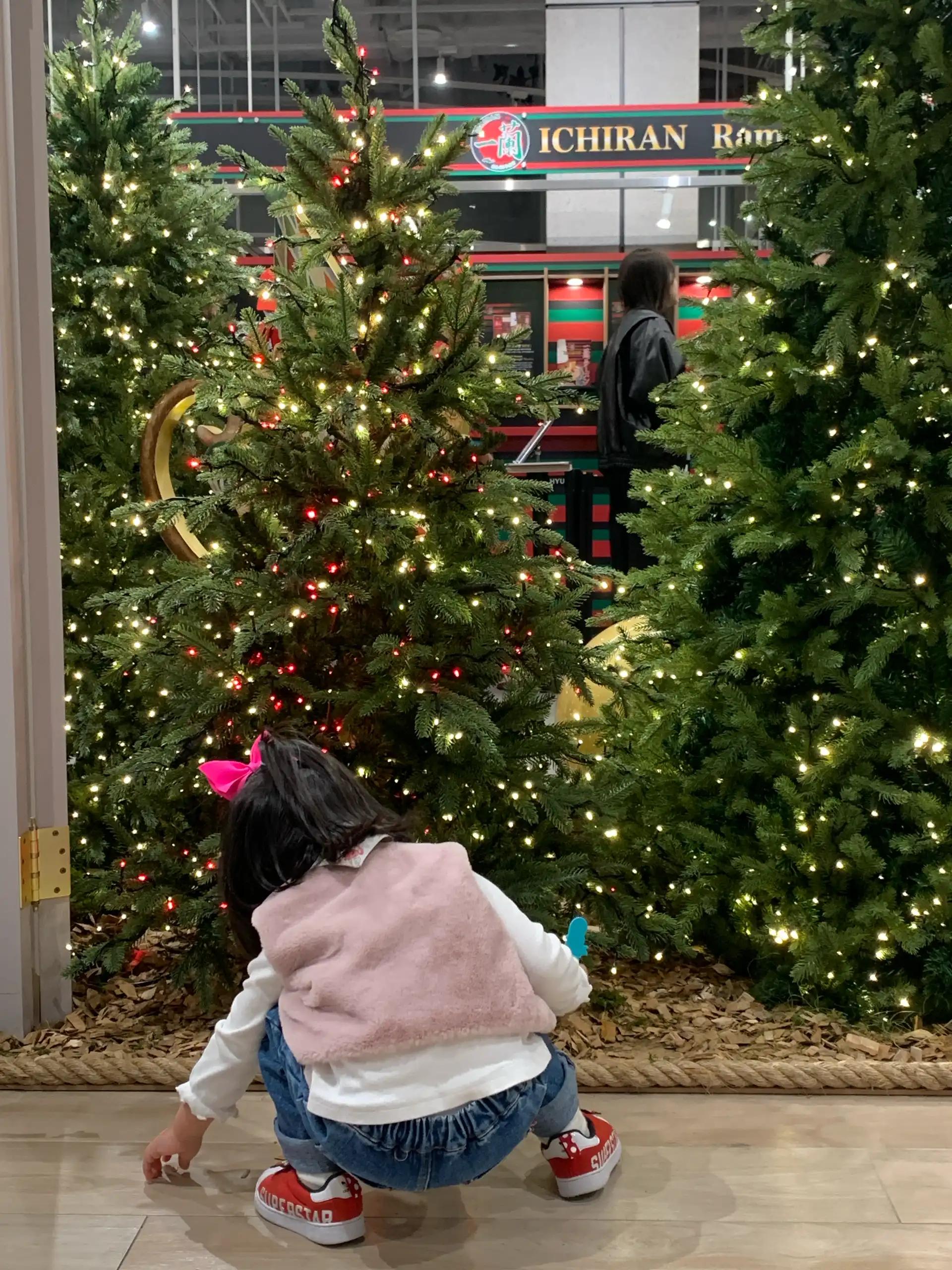 크루톡 이미지 2