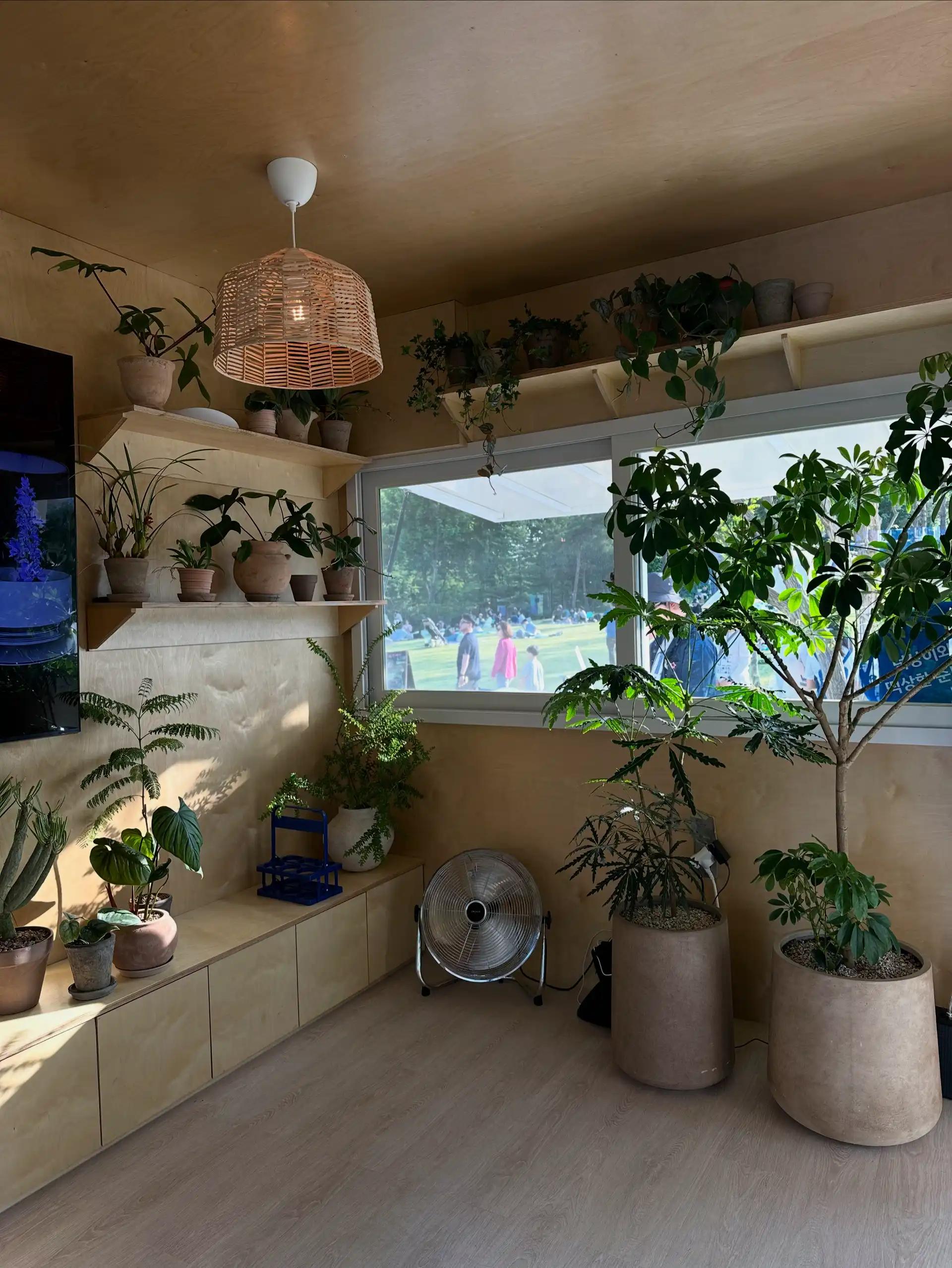 크루톡 이미지 2