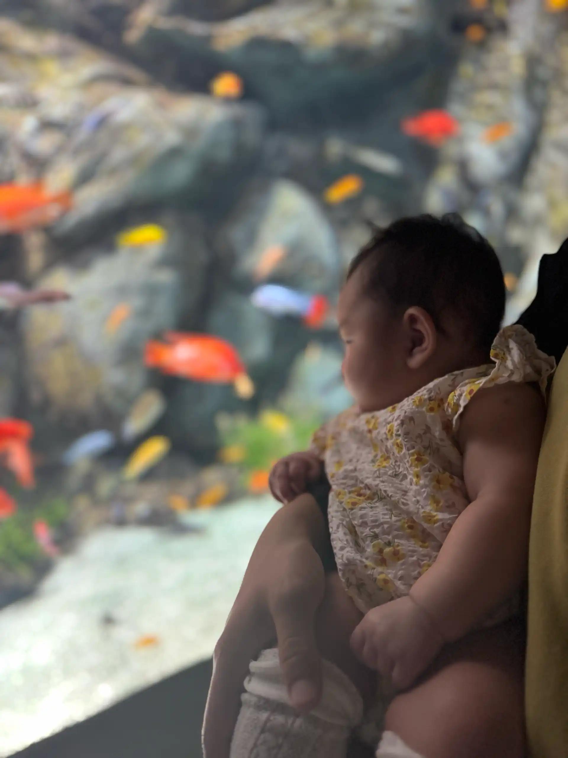 크루톡 이미지 1