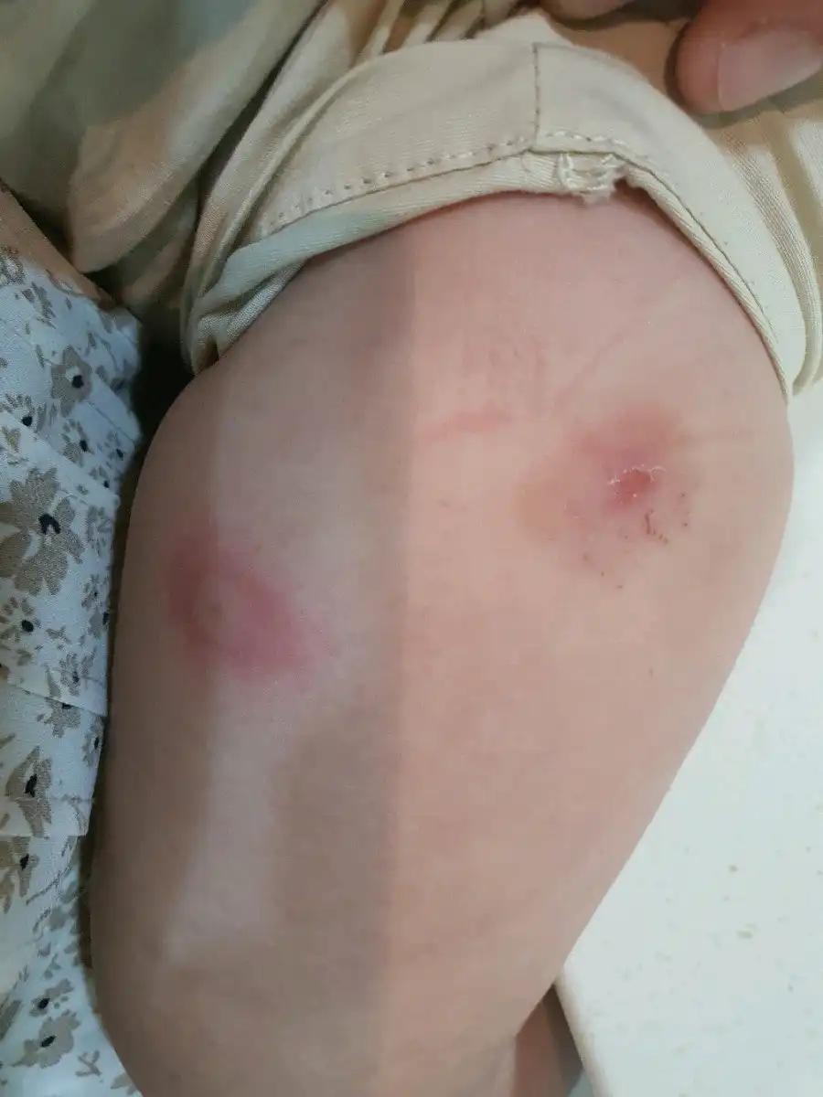 크루톡 이미지 2