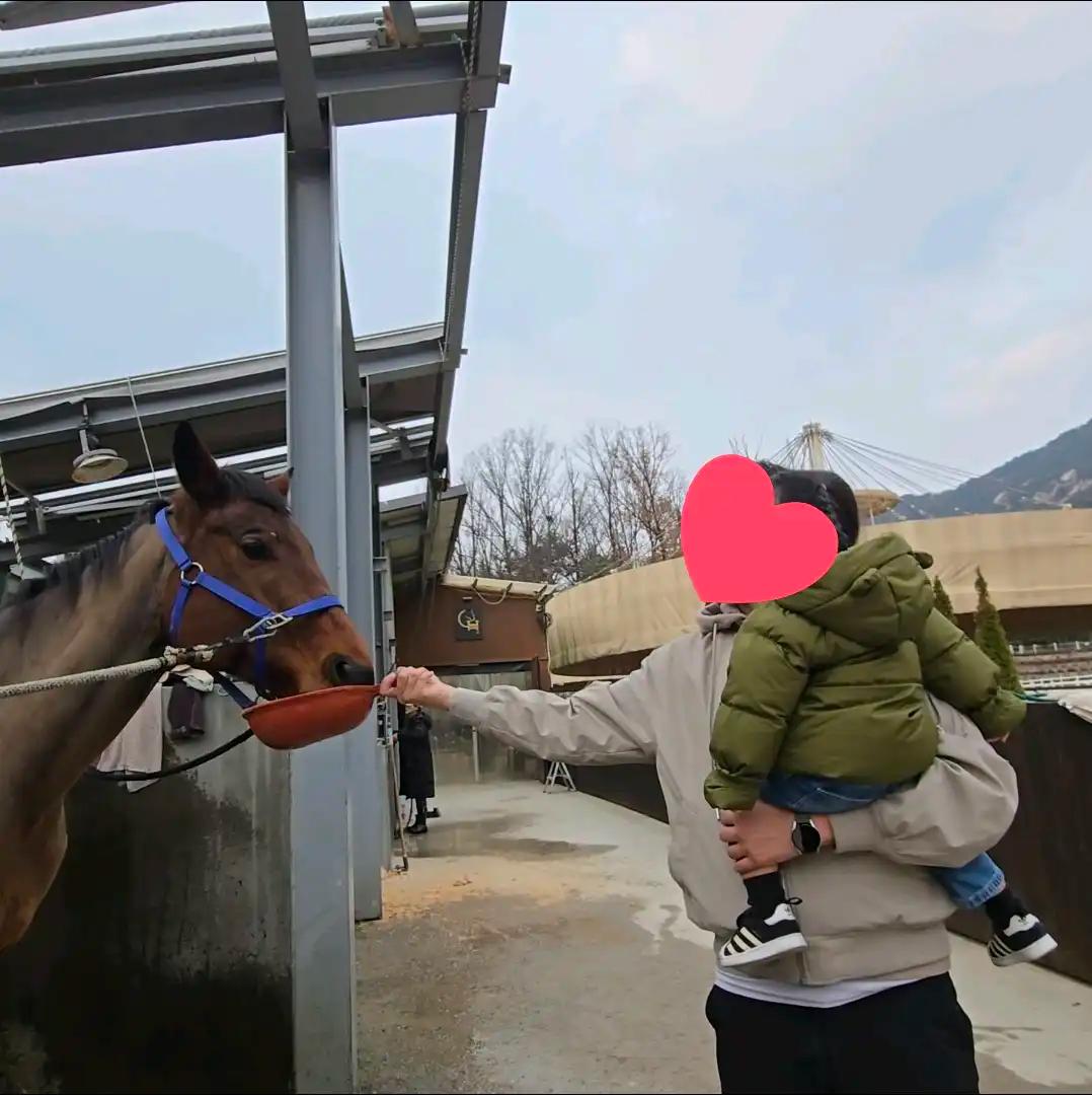 크루톡 이미지 4