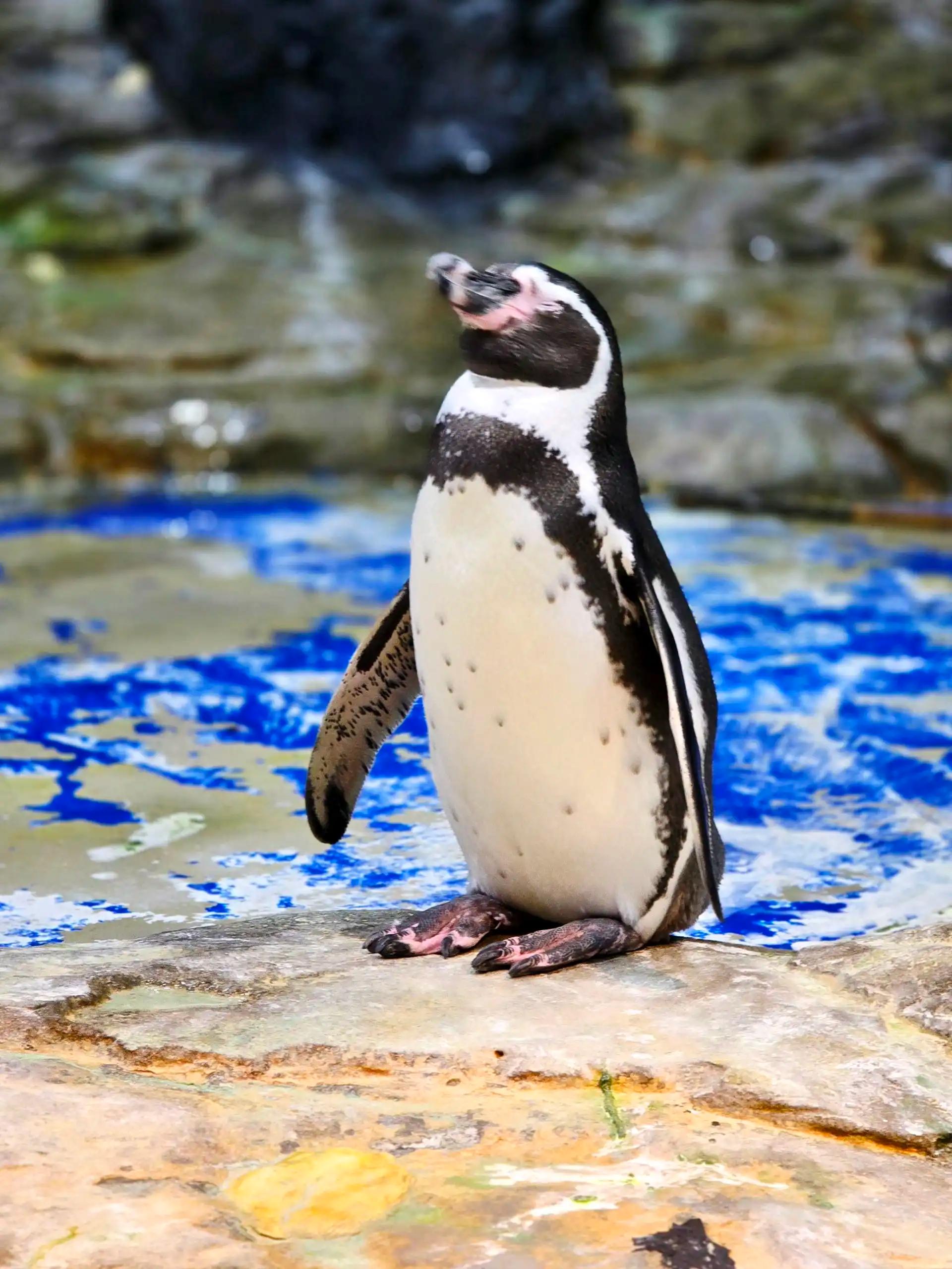 크루톡 이미지 2