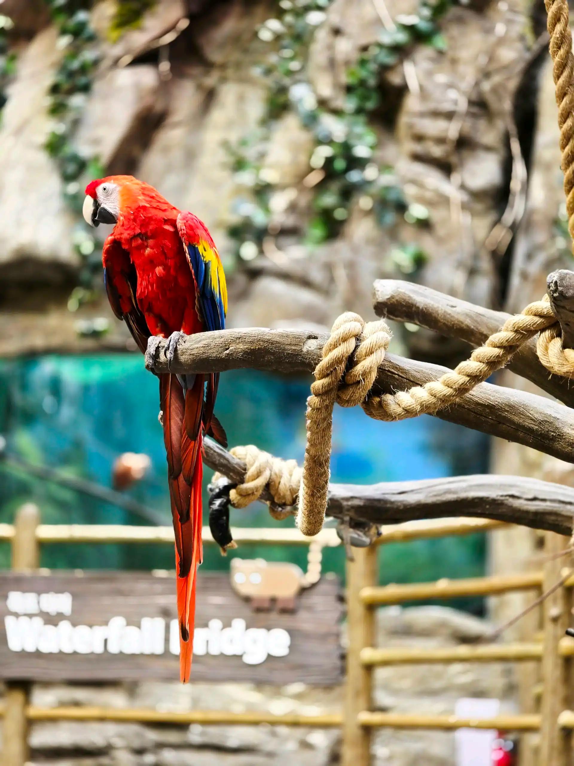 크루톡 이미지 3