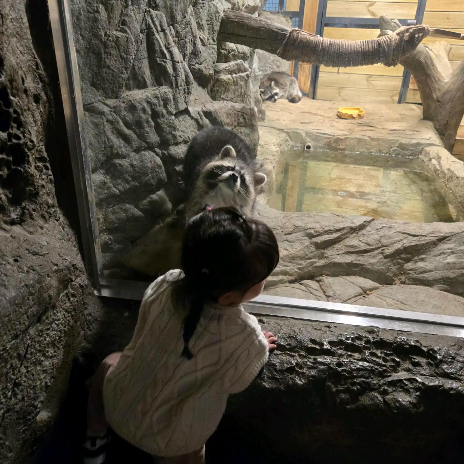 크루톡 이미지 4