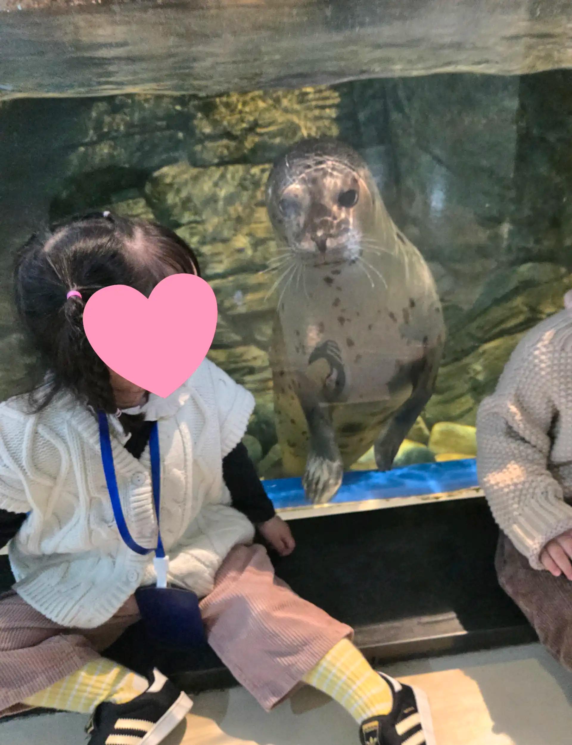 크루톡 이미지 5