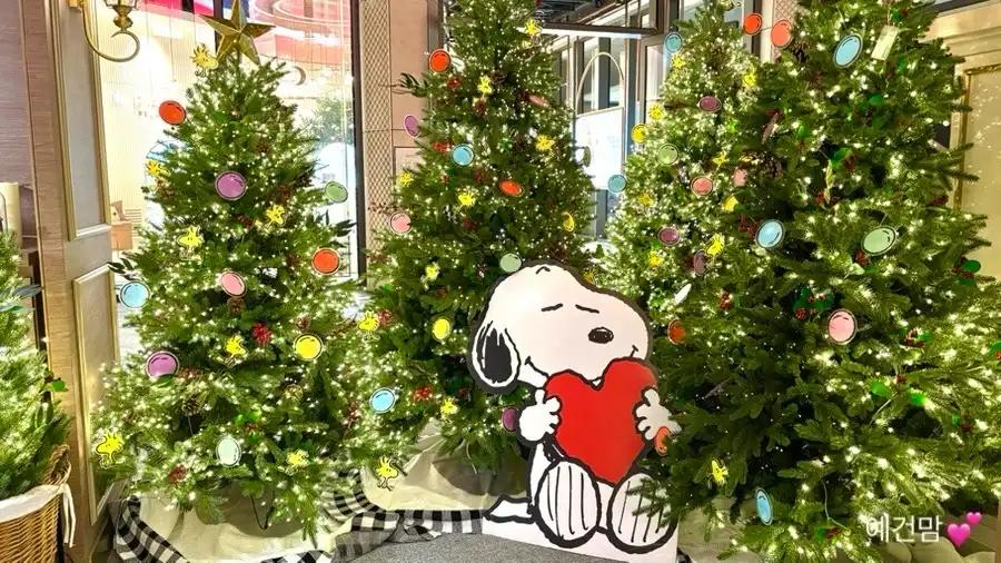 크루톡 이미지 3