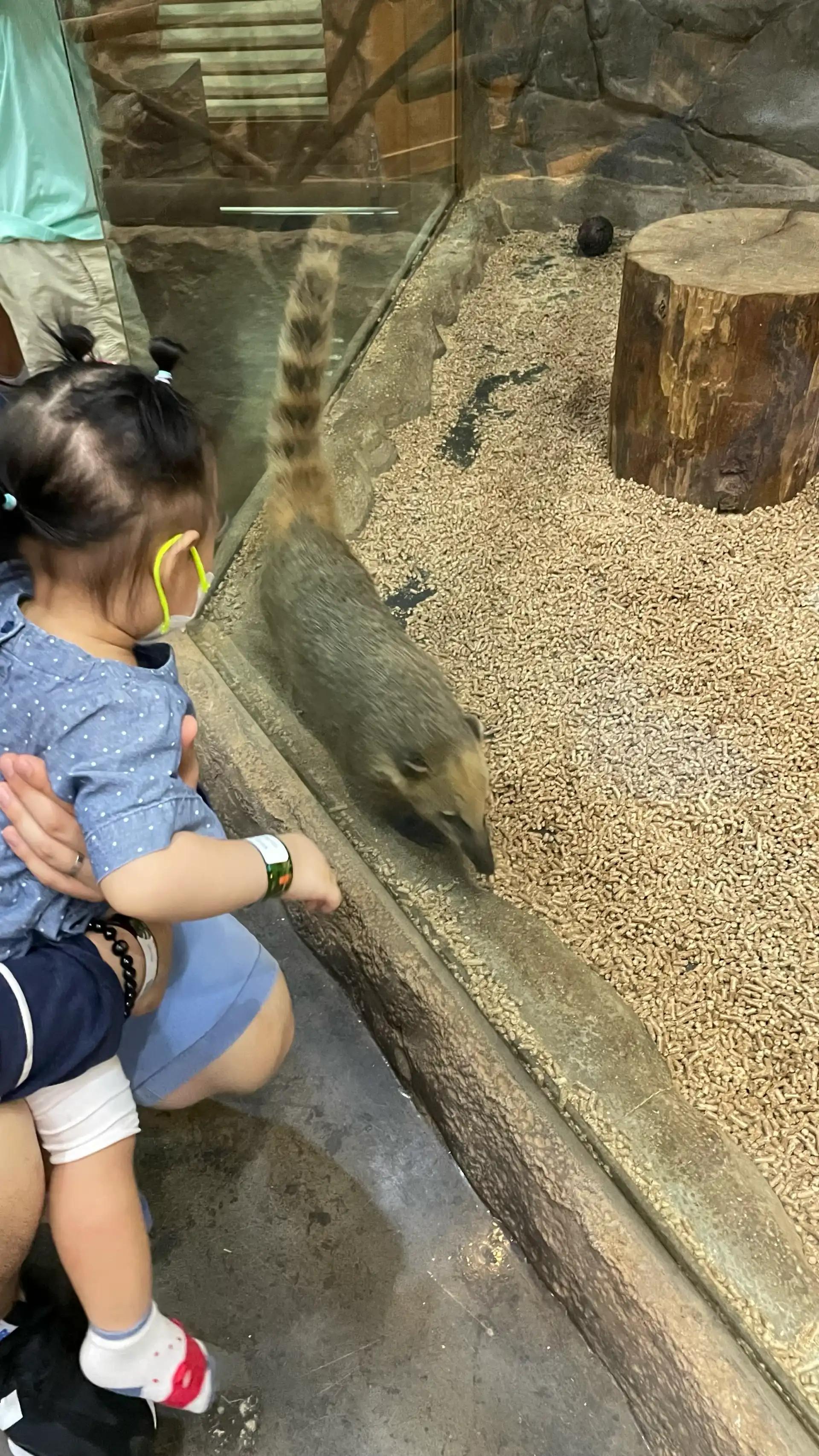 크루톡 이미지 2