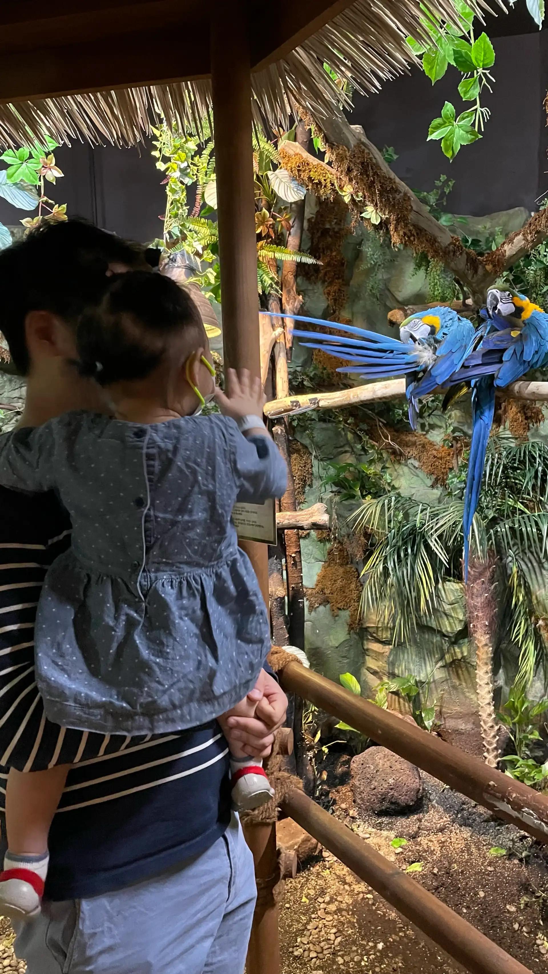 크루톡 이미지 3