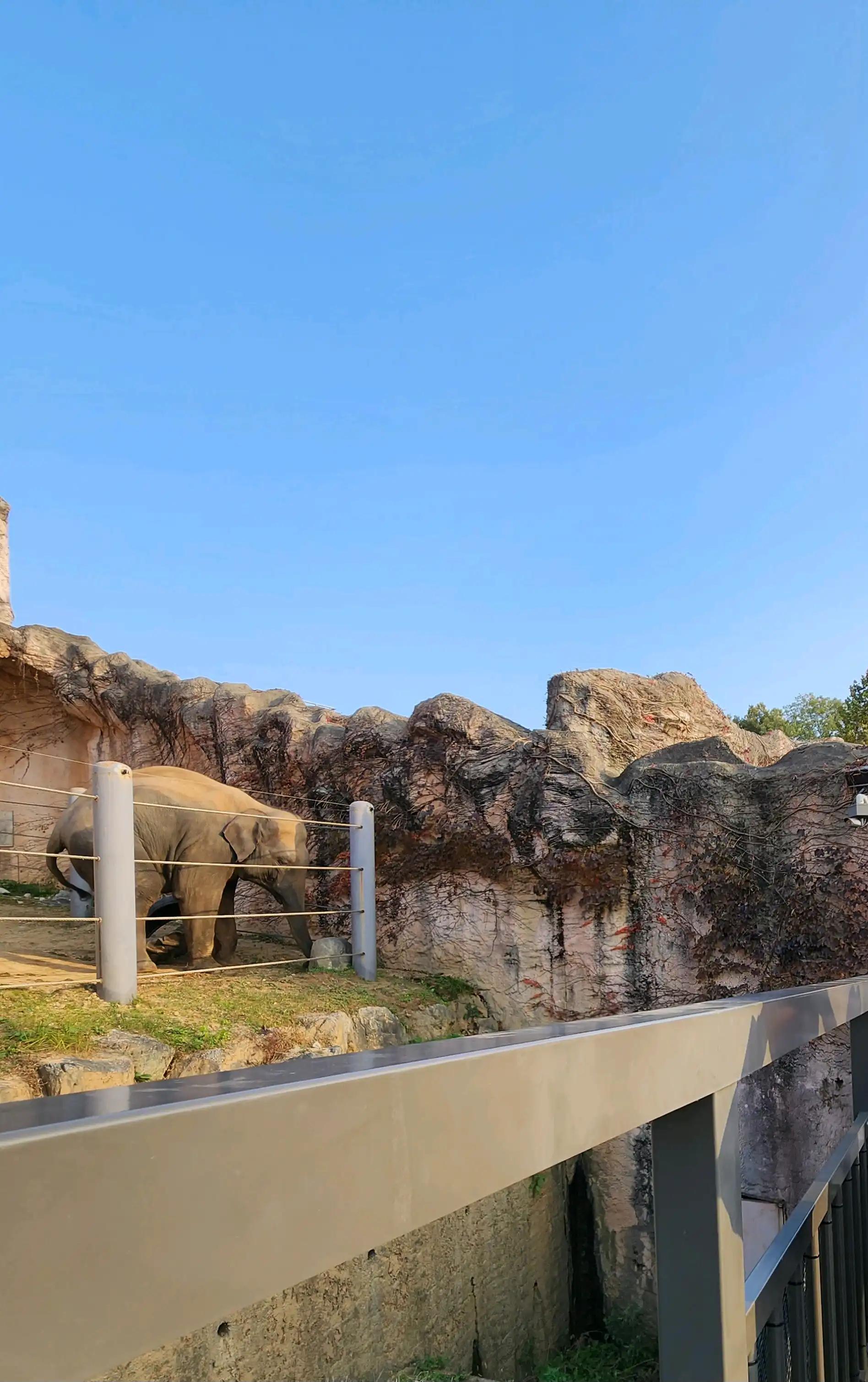 크루톡 이미지 1