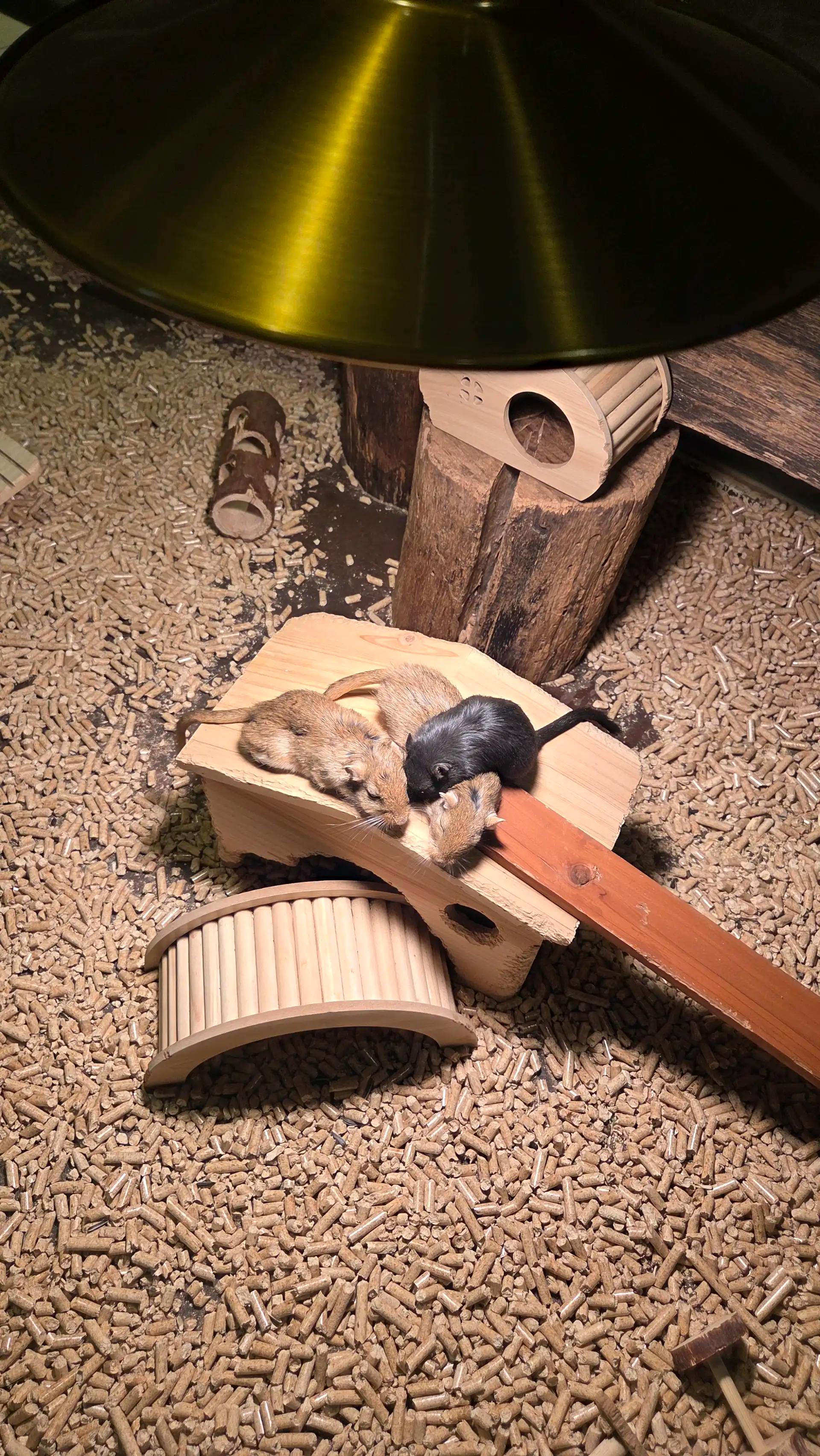 크루톡 이미지 4